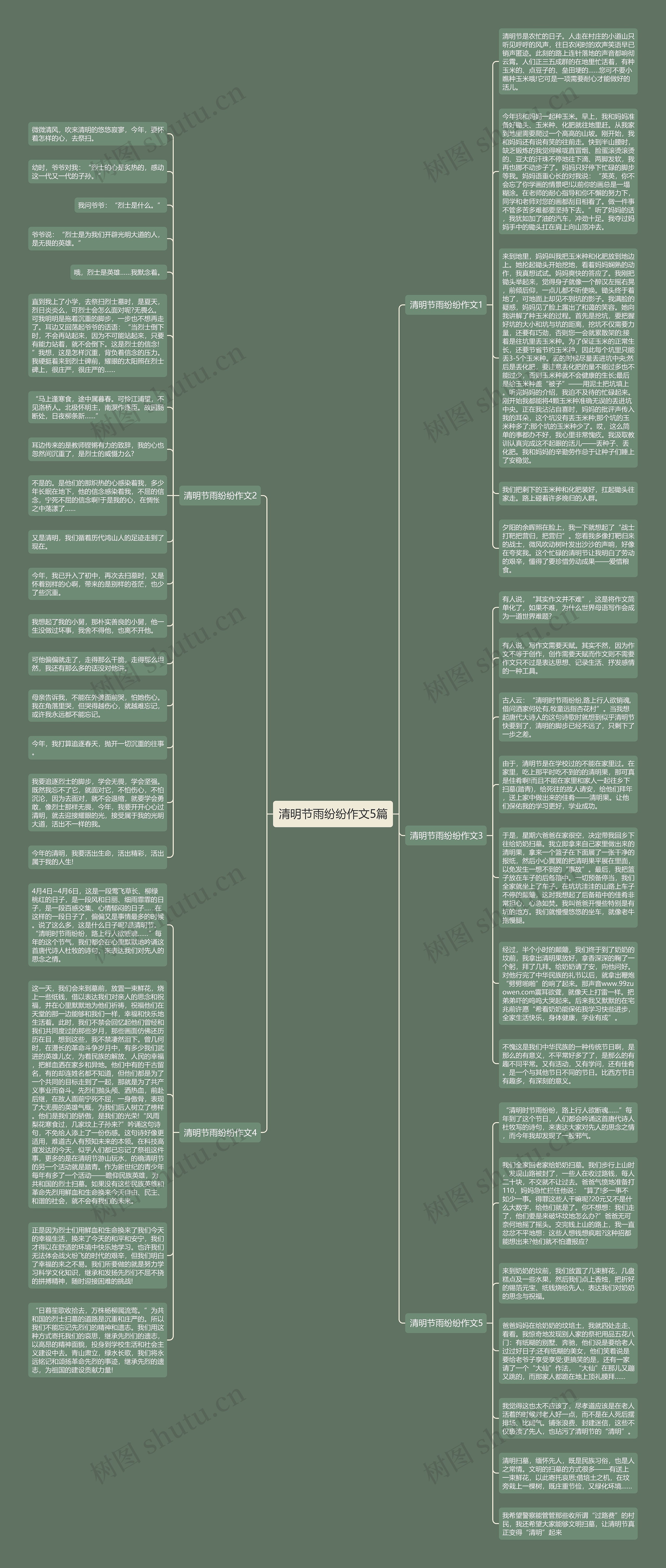 清明节雨纷纷作文5篇思维导图