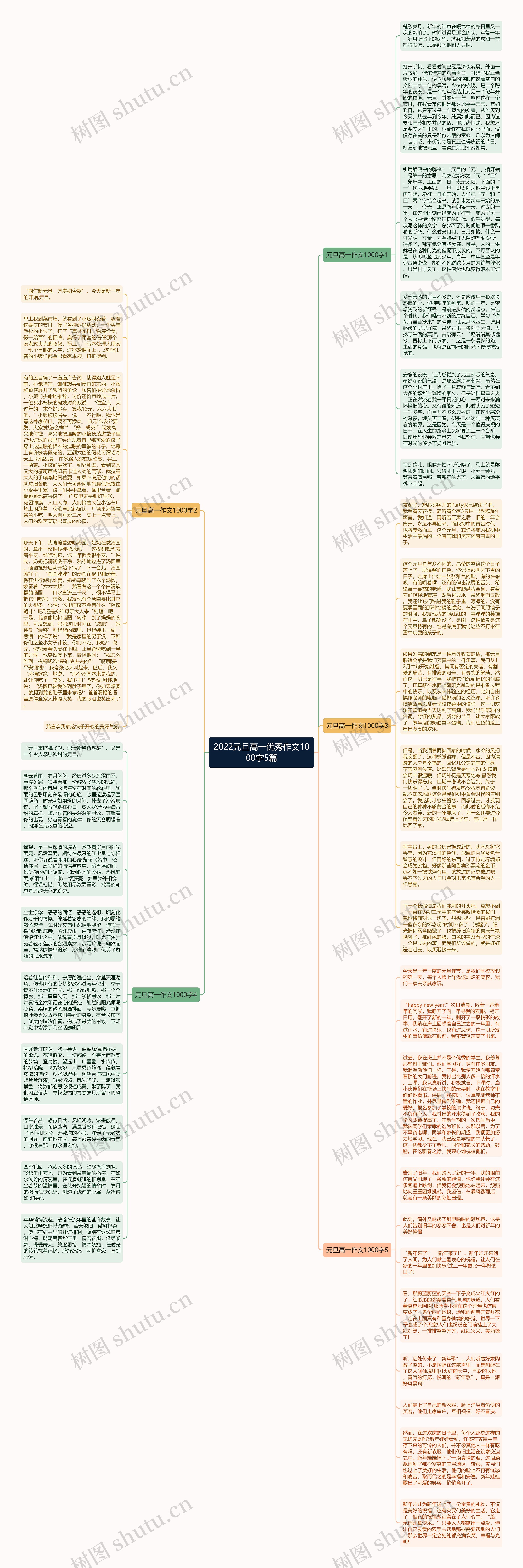 2022元旦高一优秀作文1000字5篇思维导图