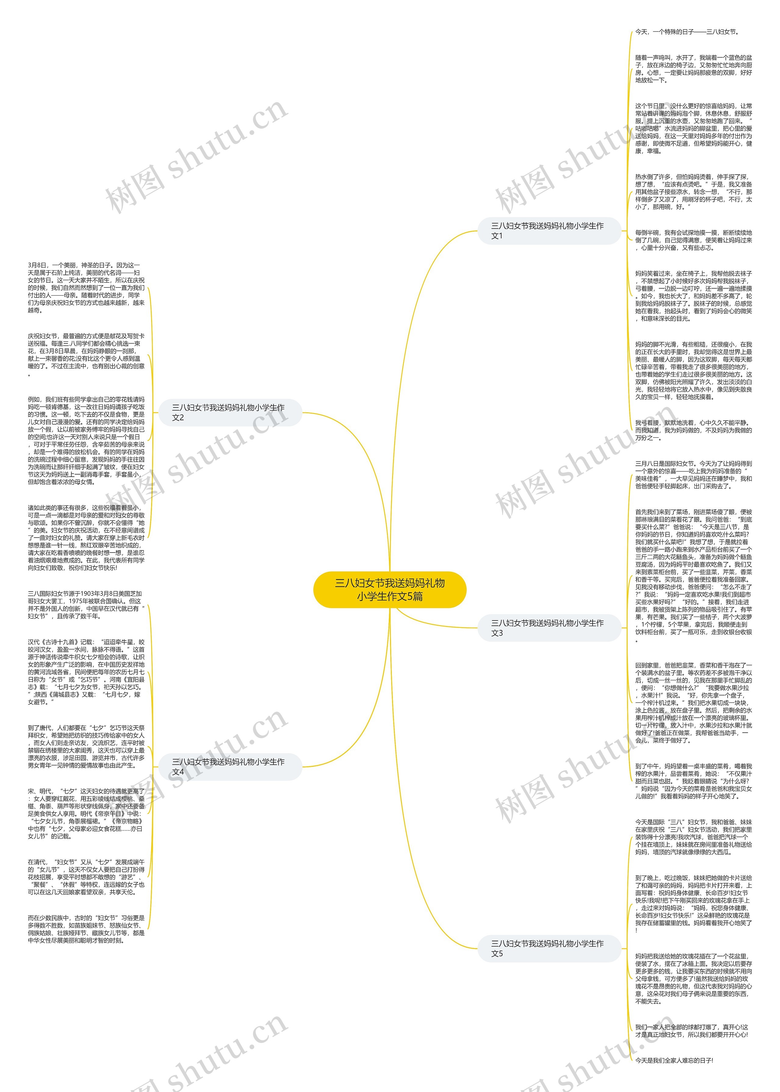 三八妇女节我送妈妈礼物小学生作文5篇思维导图