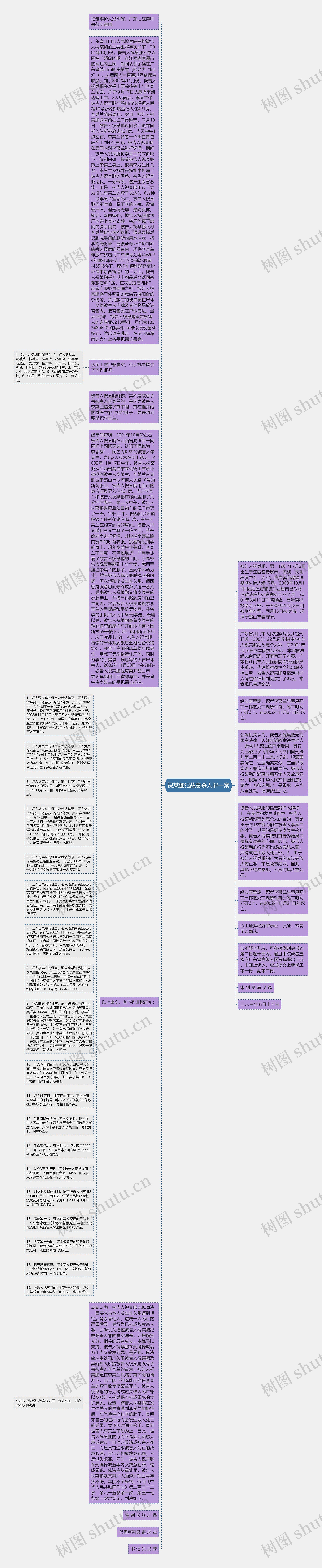 祝某鹏犯故意杀人罪一案思维导图