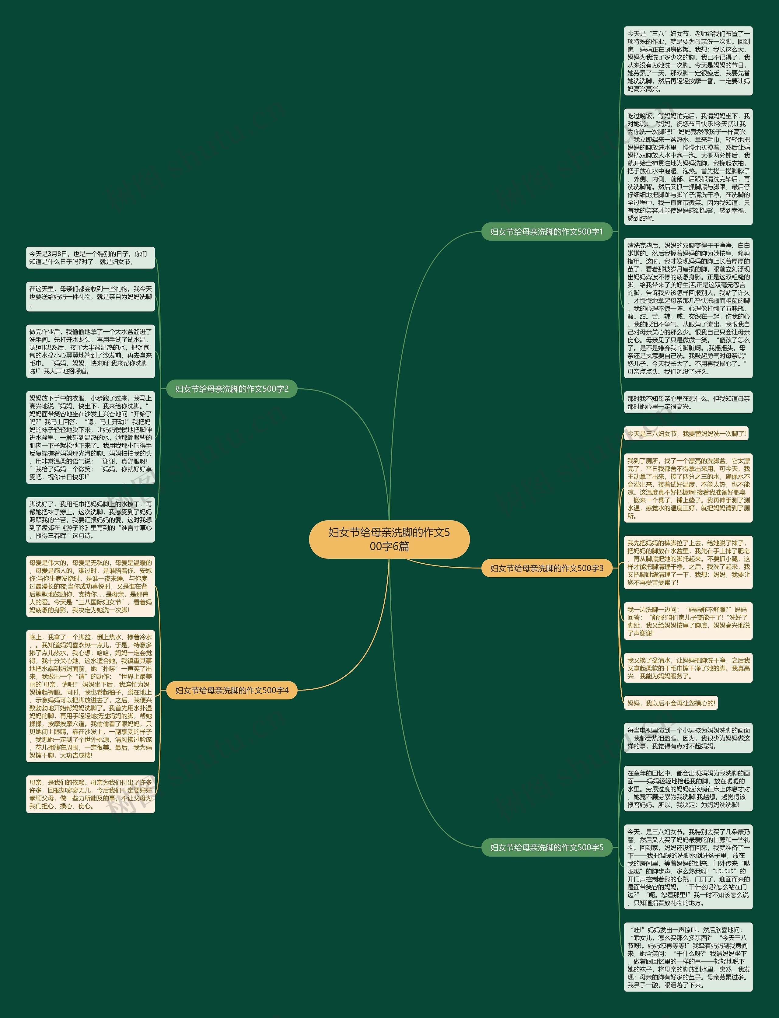 妇女节给母亲洗脚的作文500字6篇思维导图