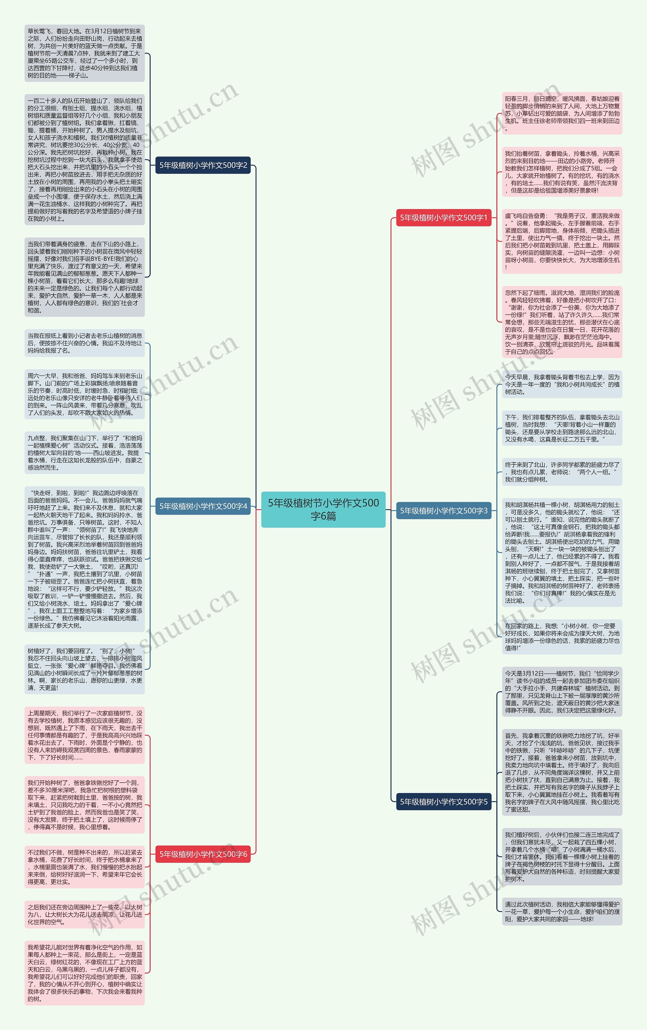 5年级植树节小学作文500字6篇思维导图