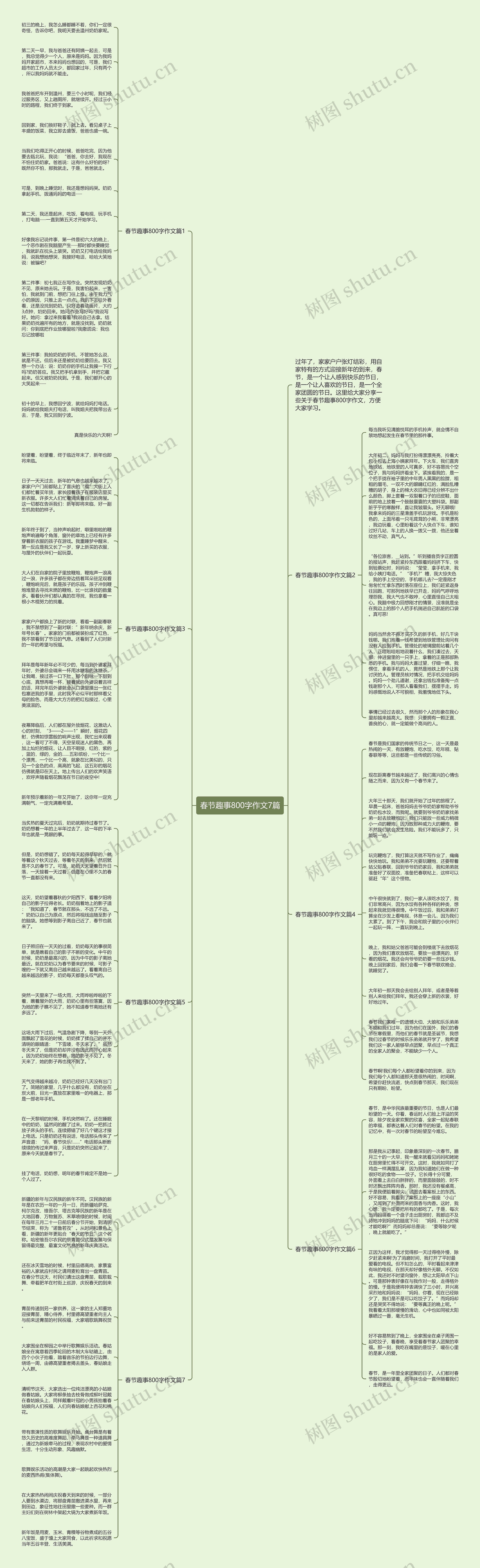 春节趣事800字作文7篇思维导图