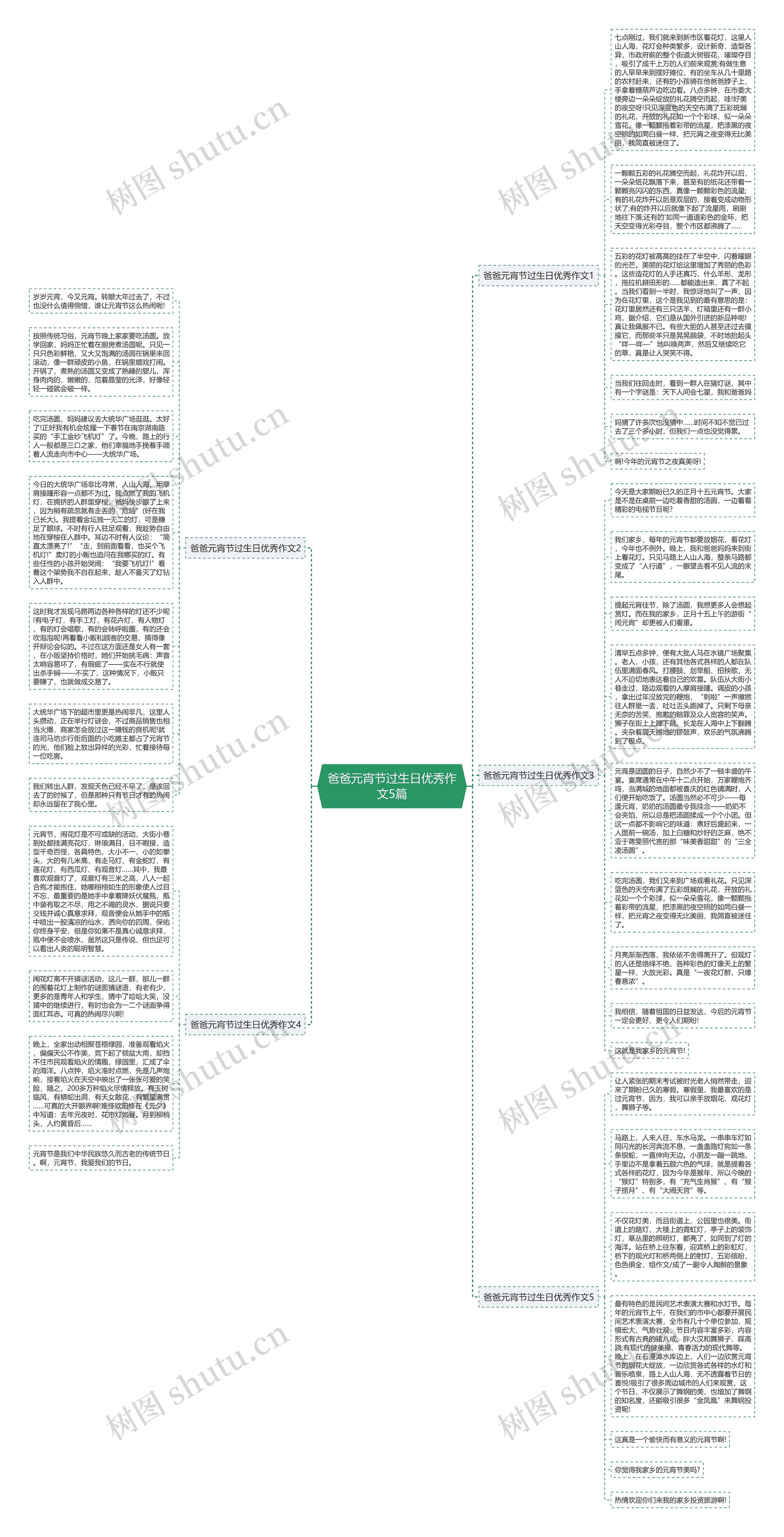 爸爸元宵节过生日优秀作文5篇思维导图