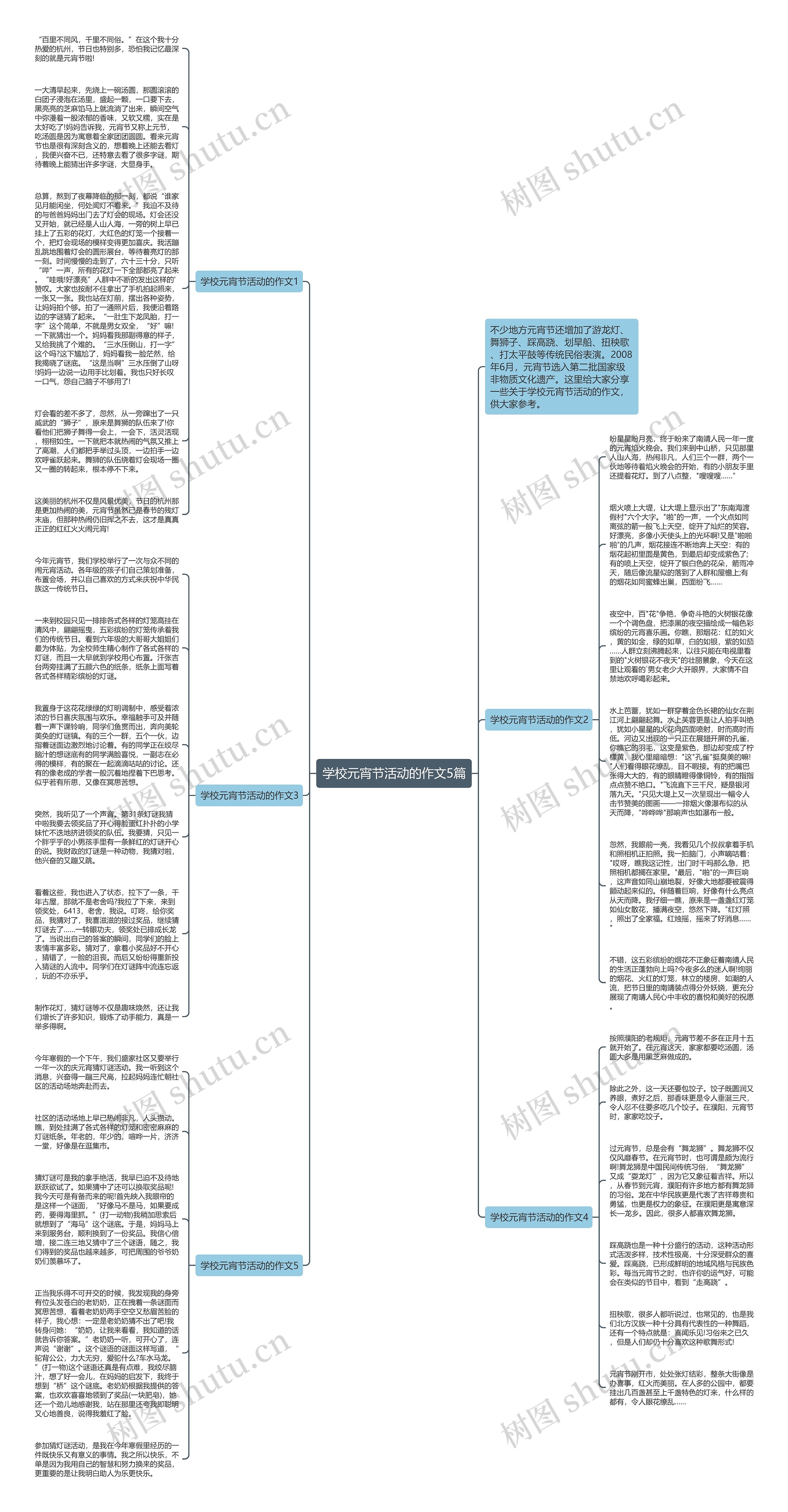 学校元宵节活动的作文5篇思维导图