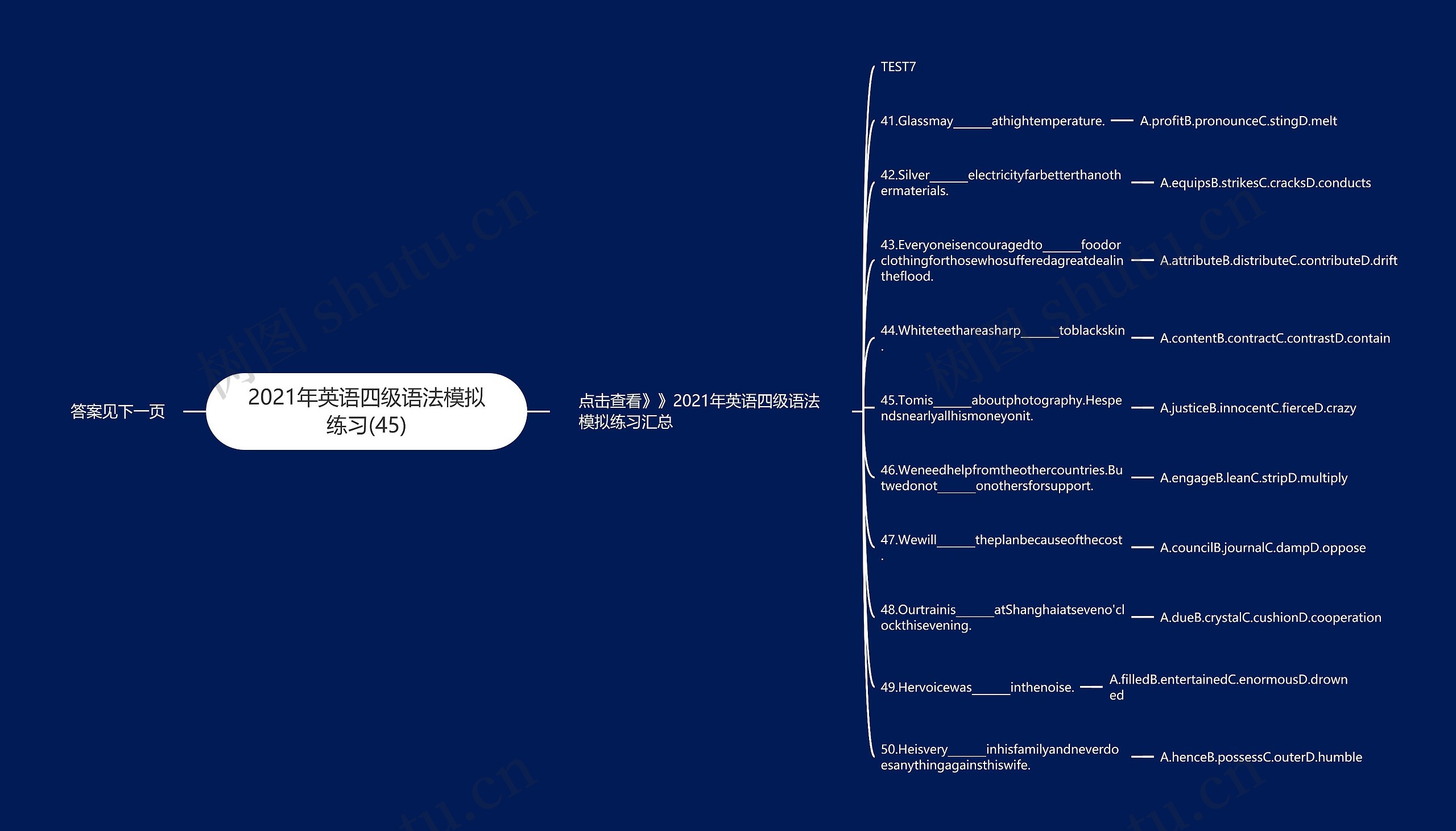 2021年英语四级语法模拟练习(45)思维导图