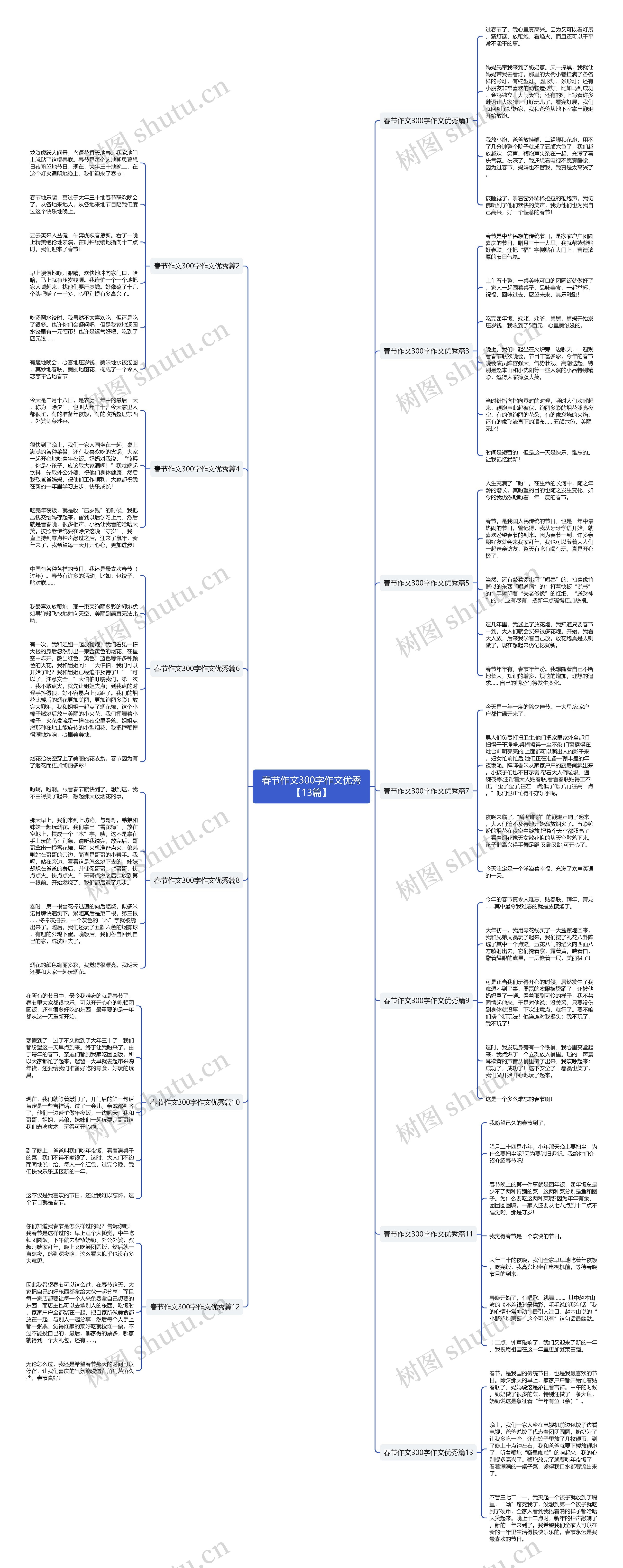 春节作文300字作文优秀【13篇】思维导图