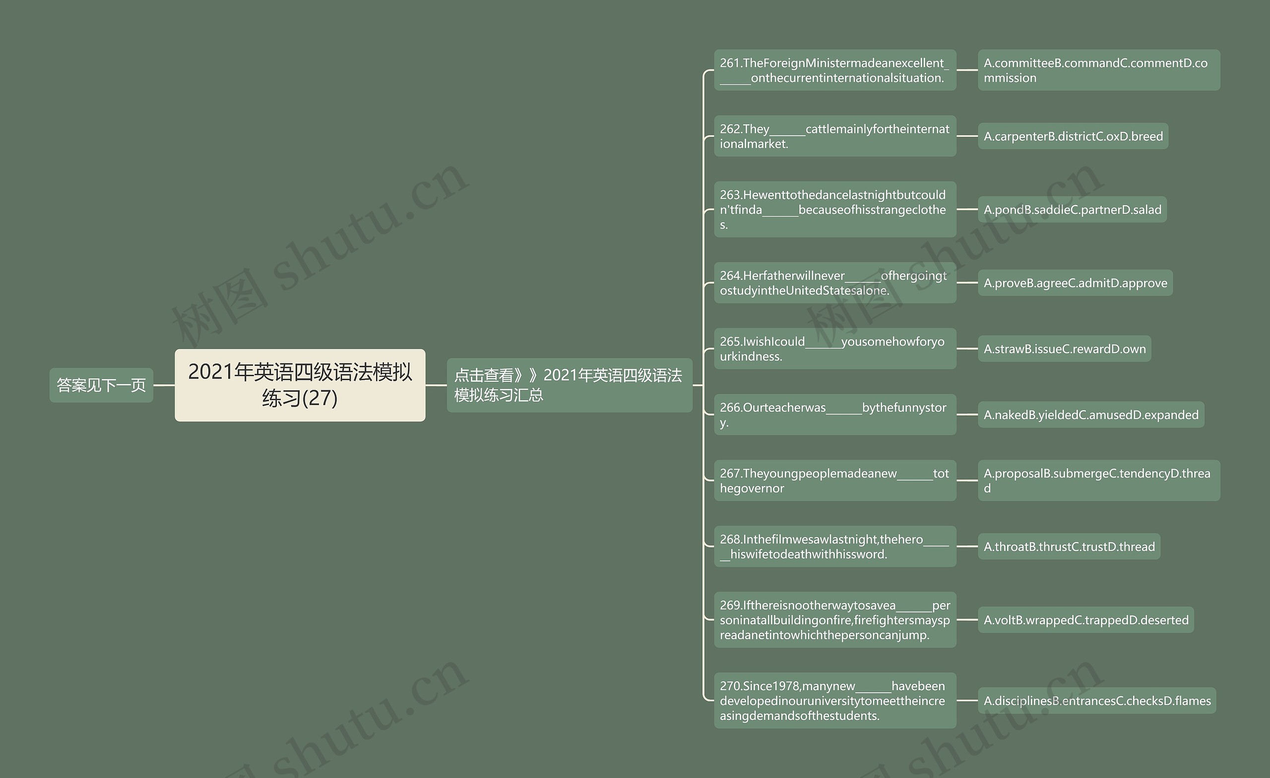 2021年英语四级语法模拟练习(27)思维导图