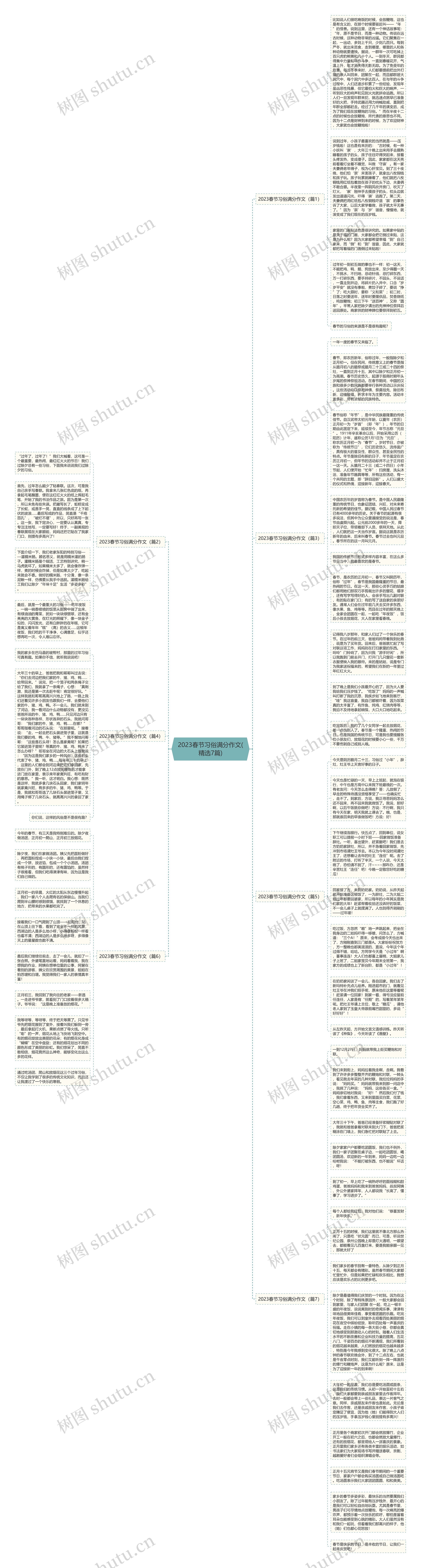 2023春节习俗满分作文(精选7篇)思维导图