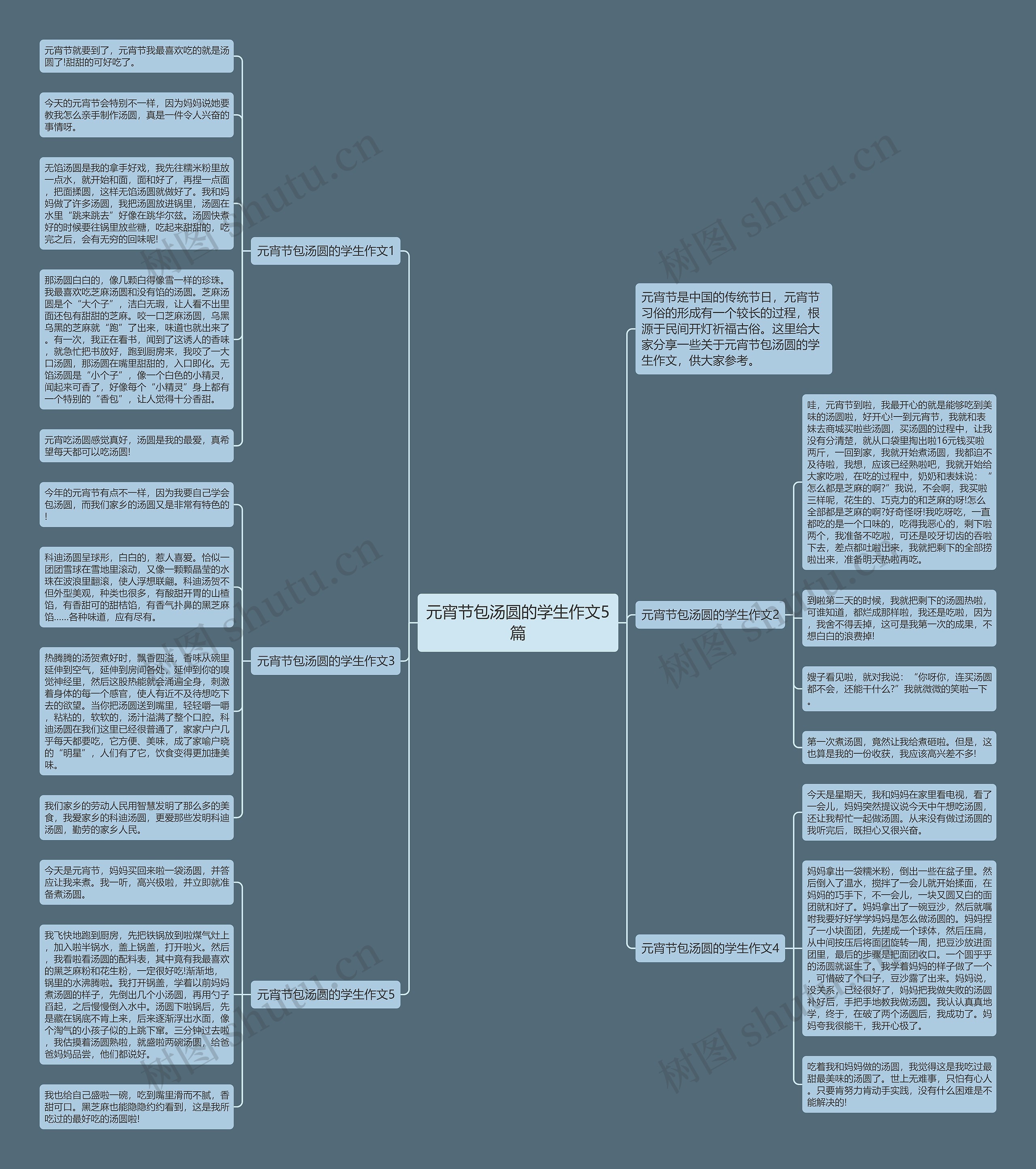元宵节包汤圆的学生作文5篇思维导图