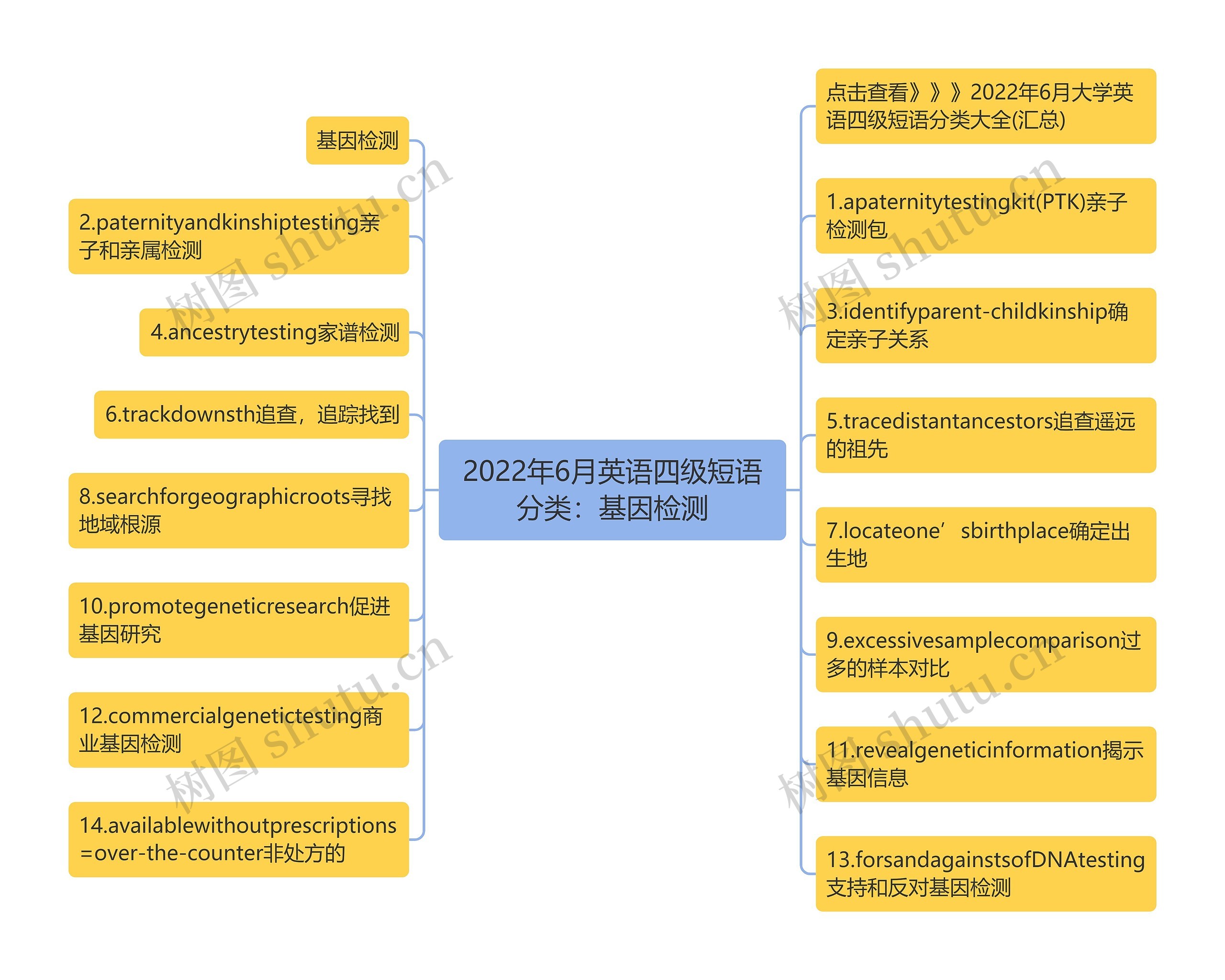 2022年6月英语四级短语分类：基因检测思维导图