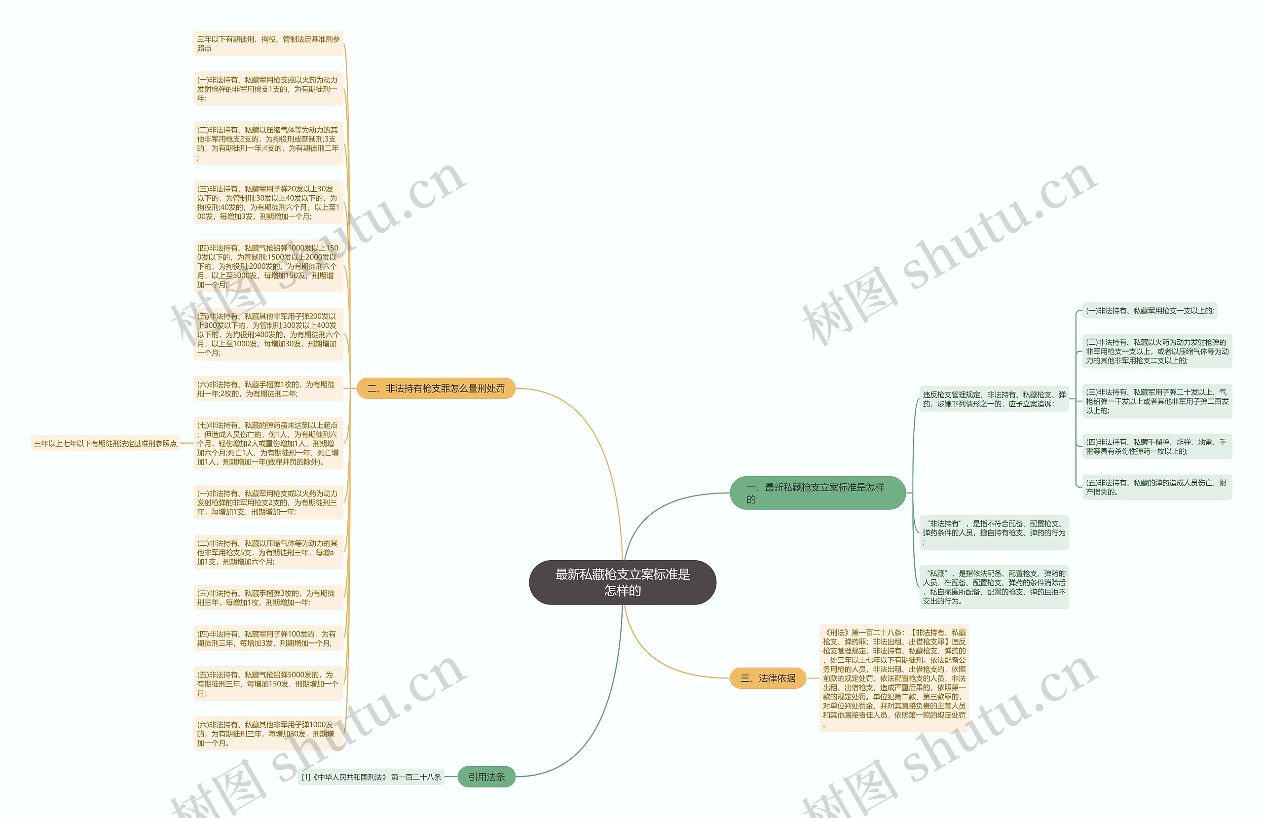 最新私藏枪支立案标准是怎样的思维导图