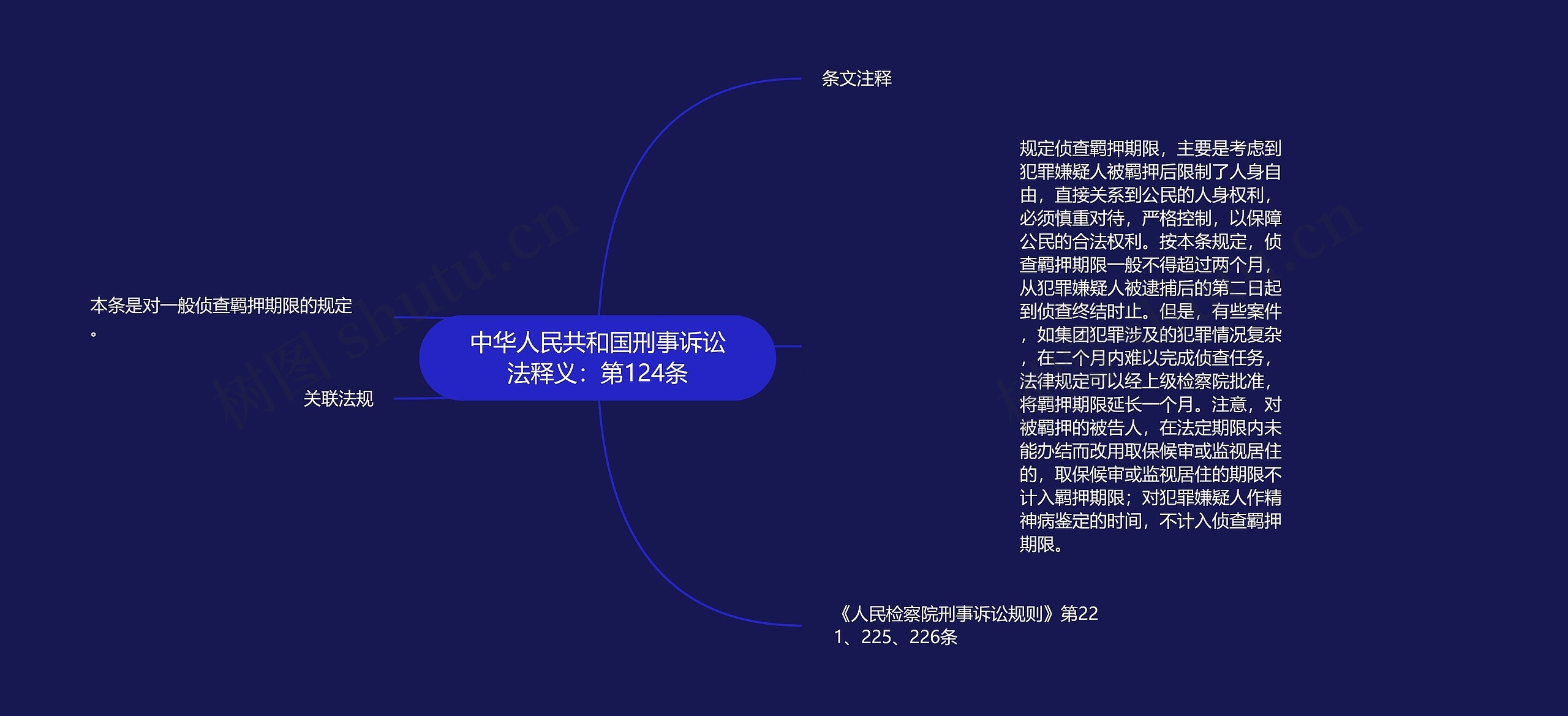 中华人民共和国刑事诉讼法释义：第124条思维导图