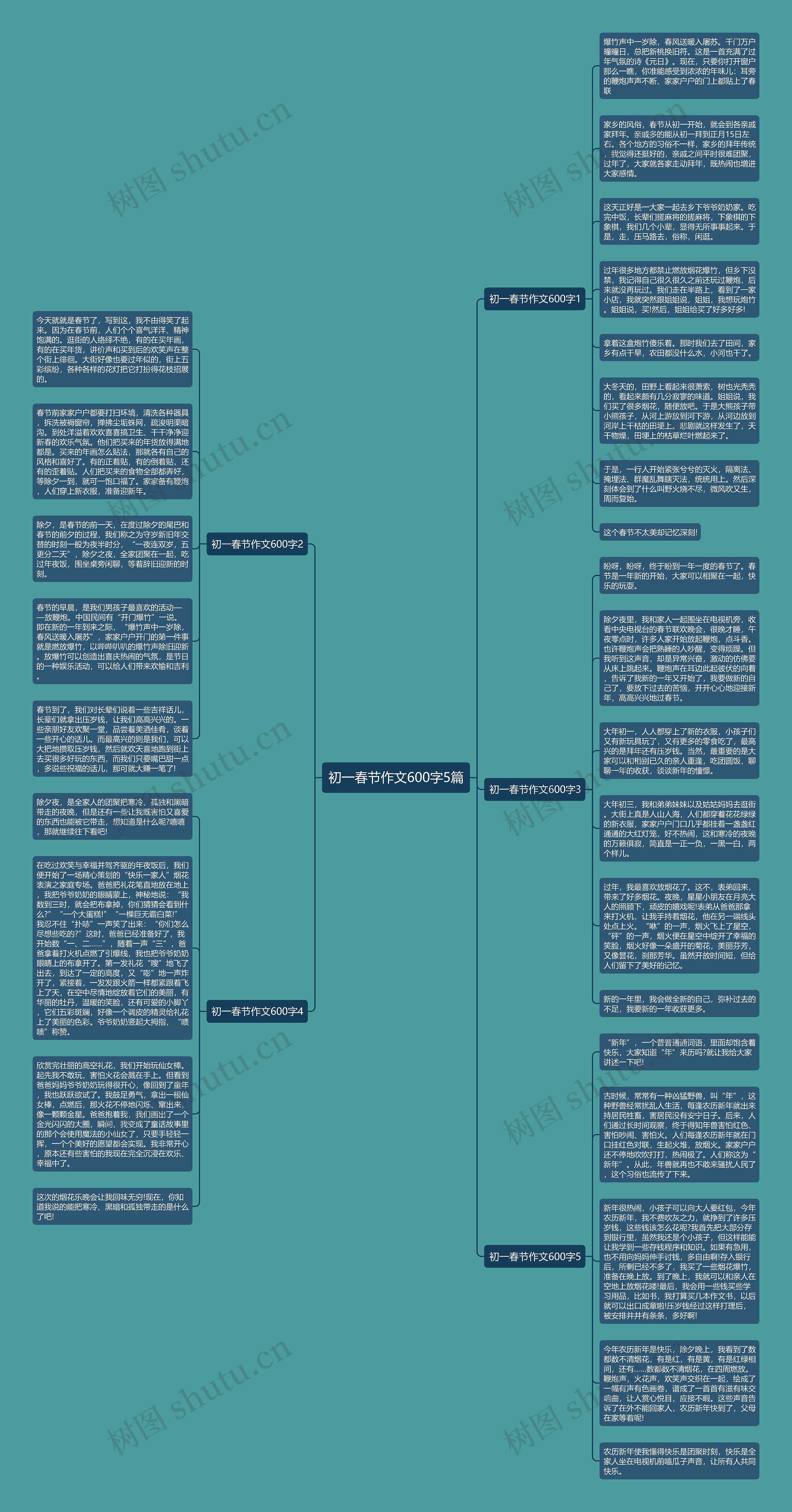初一春节作文600字5篇思维导图