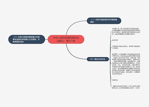 中华人民共和国刑事诉讼法释义：第211条