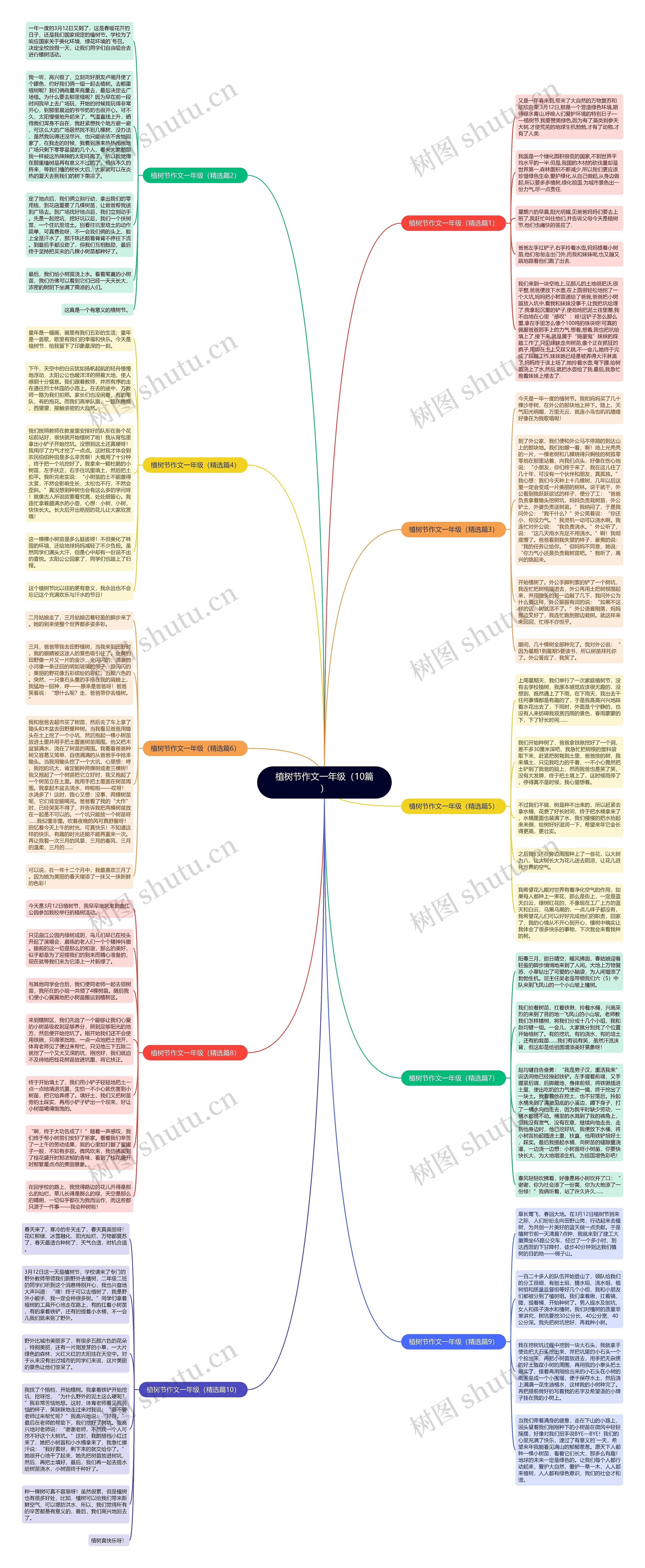 植树节作文一年级（10篇）思维导图