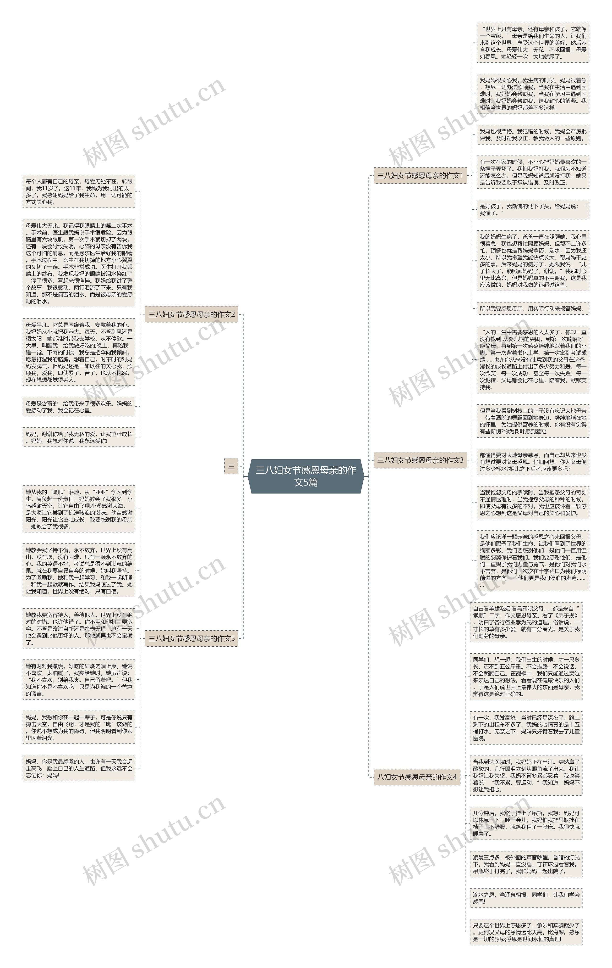 三八妇女节感恩母亲的作文5篇思维导图