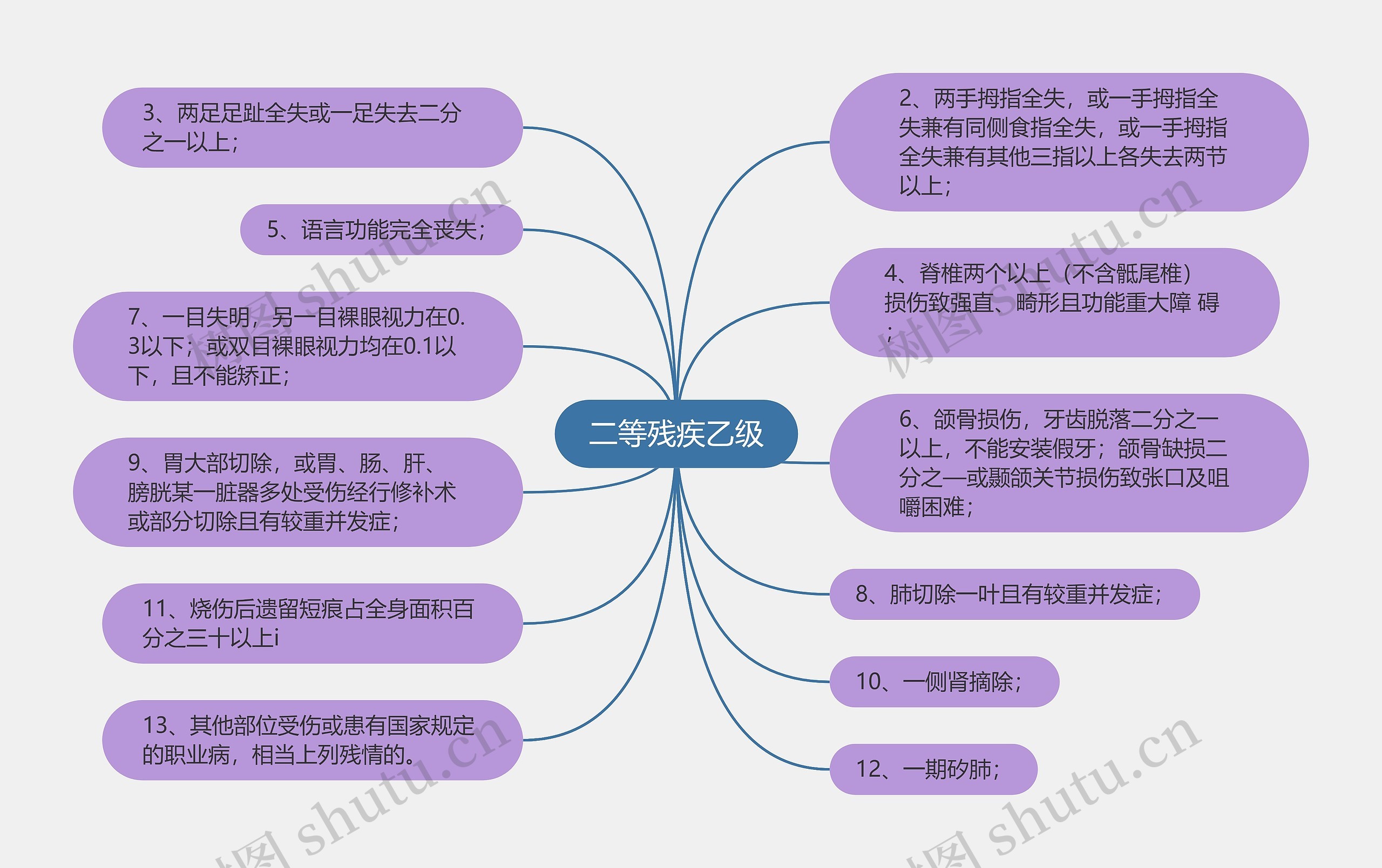 二等残疾乙级思维导图