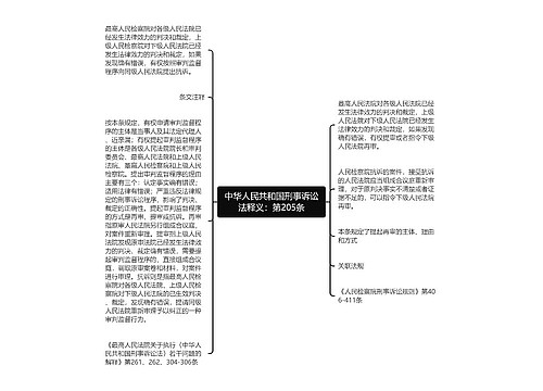 中华人民共和国刑事诉讼法释义：第205条