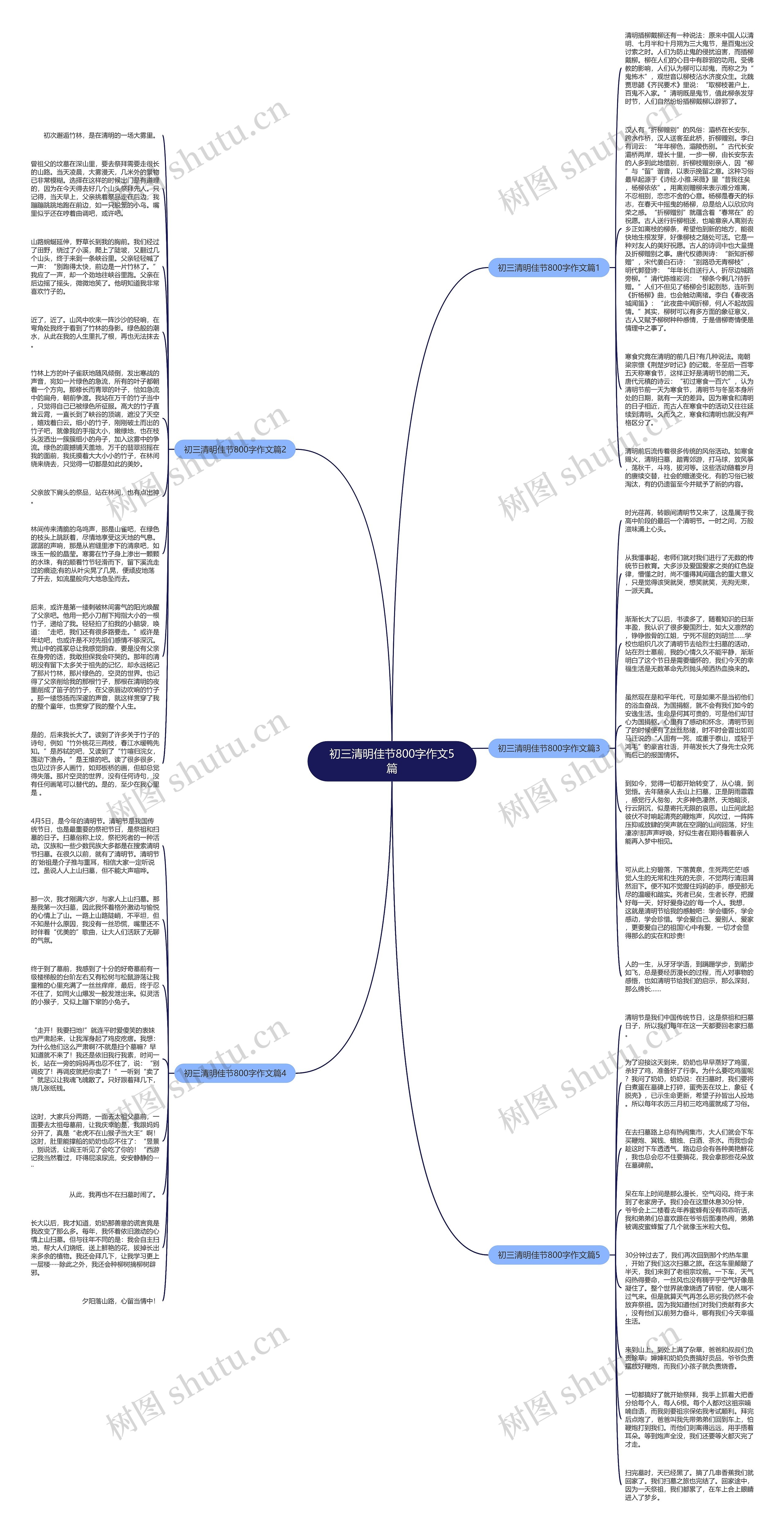 初三清明佳节800字作文5篇思维导图