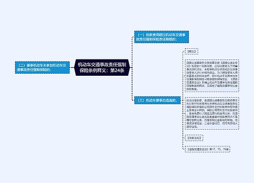 机动车交通事故责任强制保险条例释义：第24条