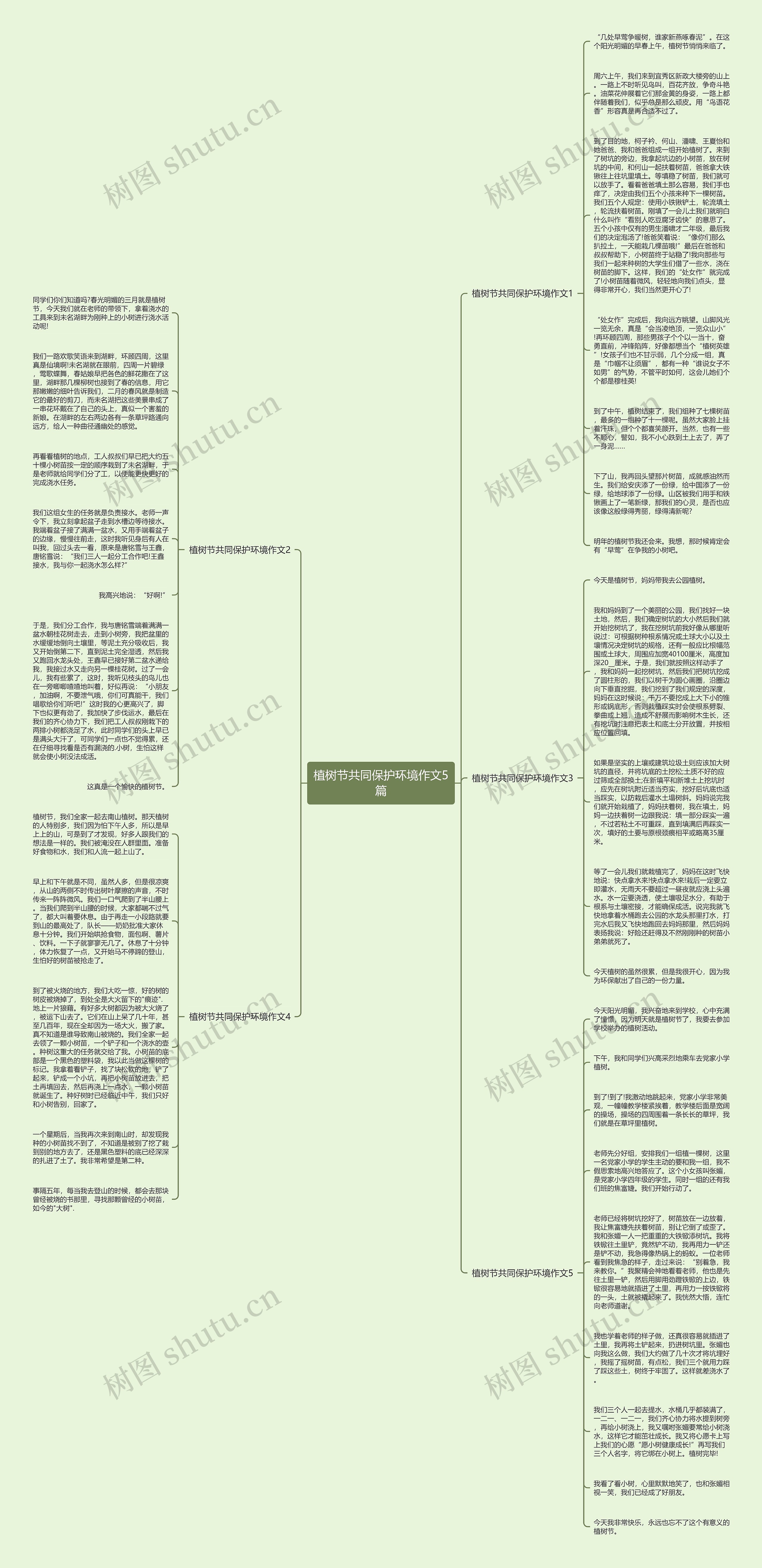植树节共同保护环境作文5篇思维导图