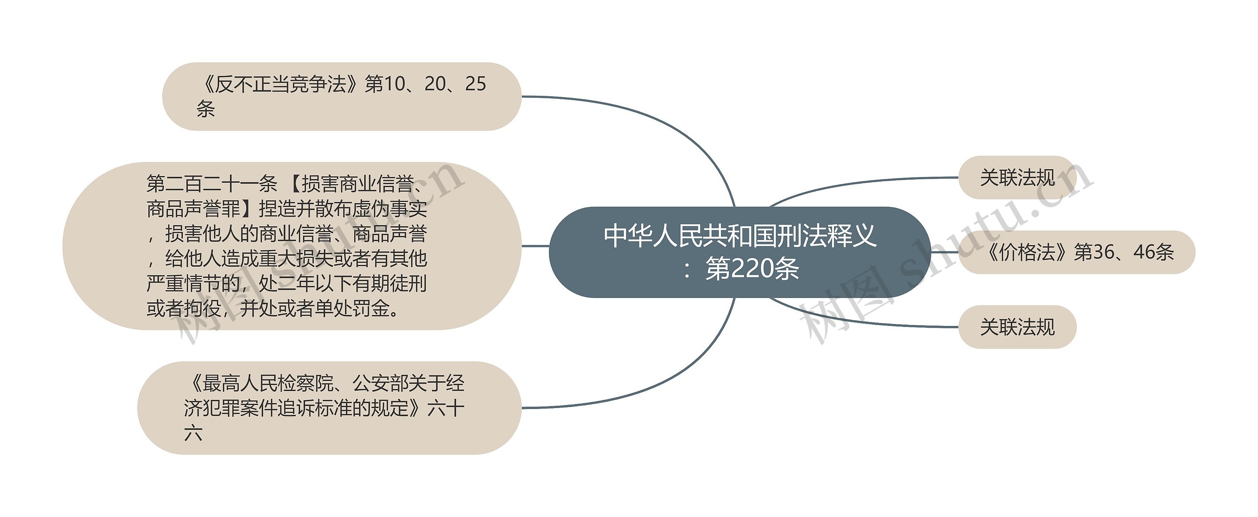 中华人民共和国刑法释义：第220条