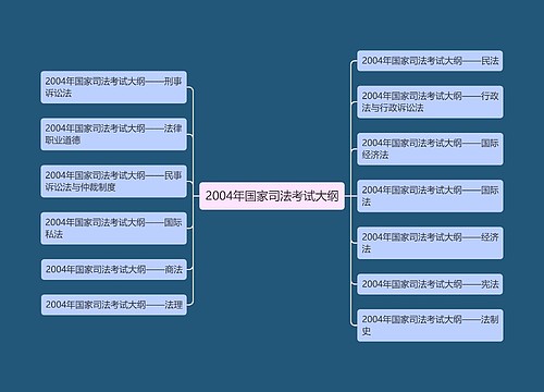 2004年国家司法考试大纲