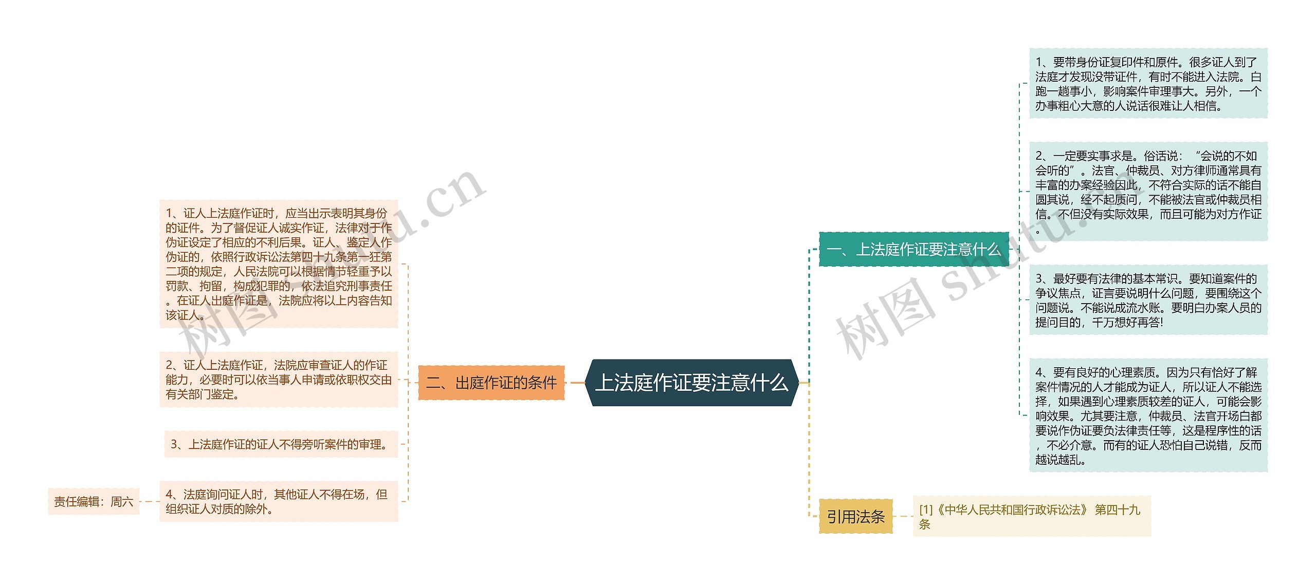 上法庭作证要注意什么思维导图