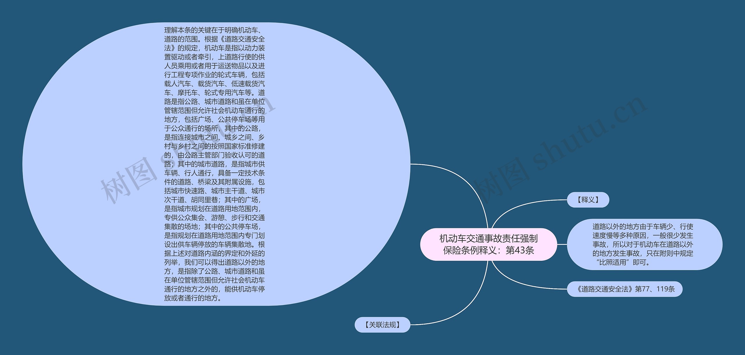 机动车交通事故责任强制保险条例释义：第43条