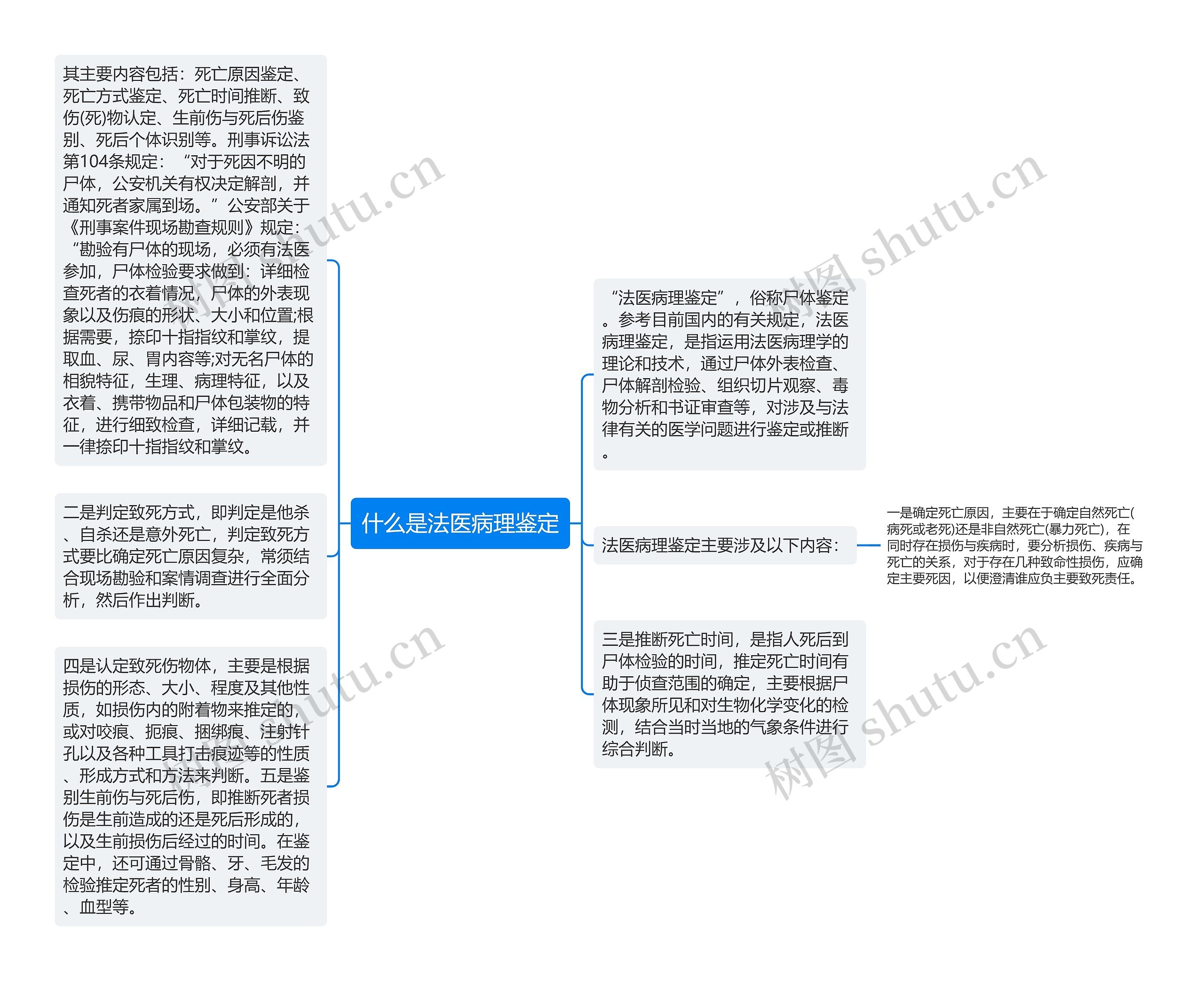 什么是法医病理鉴定