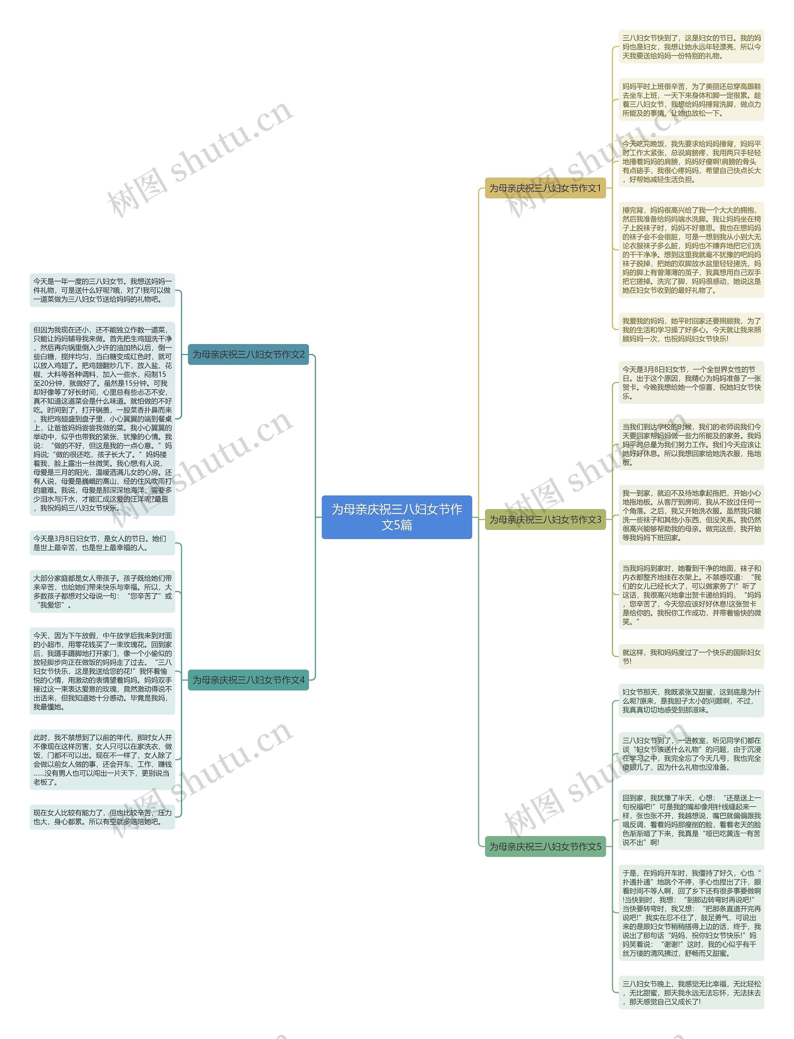 为母亲庆祝三八妇女节作文5篇思维导图