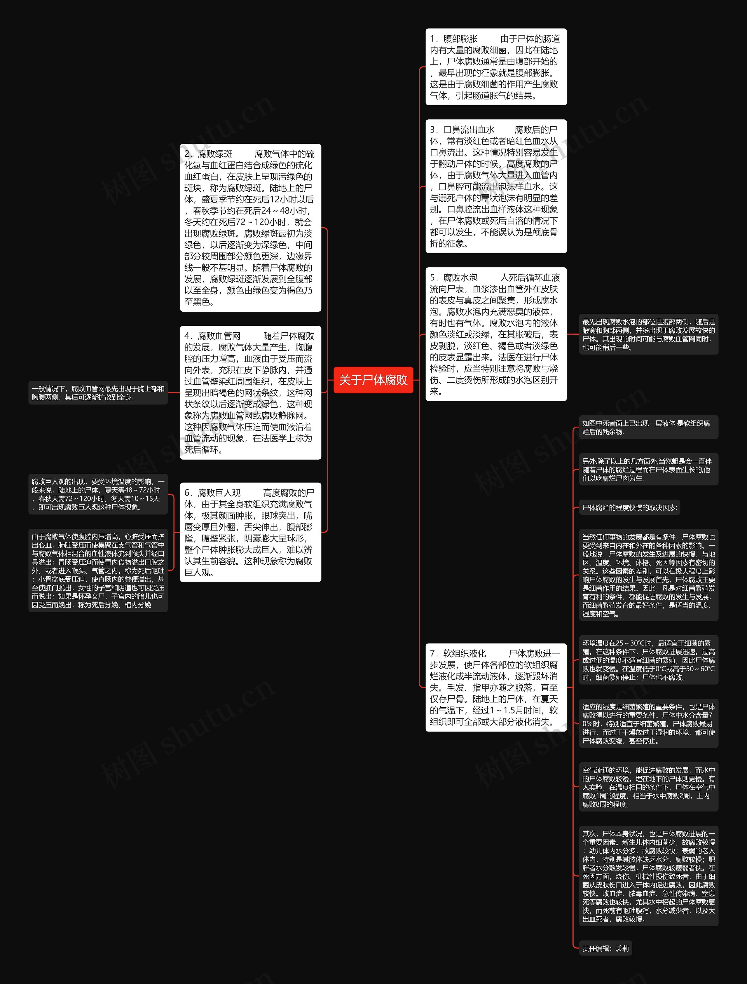 关于尸体腐败思维导图