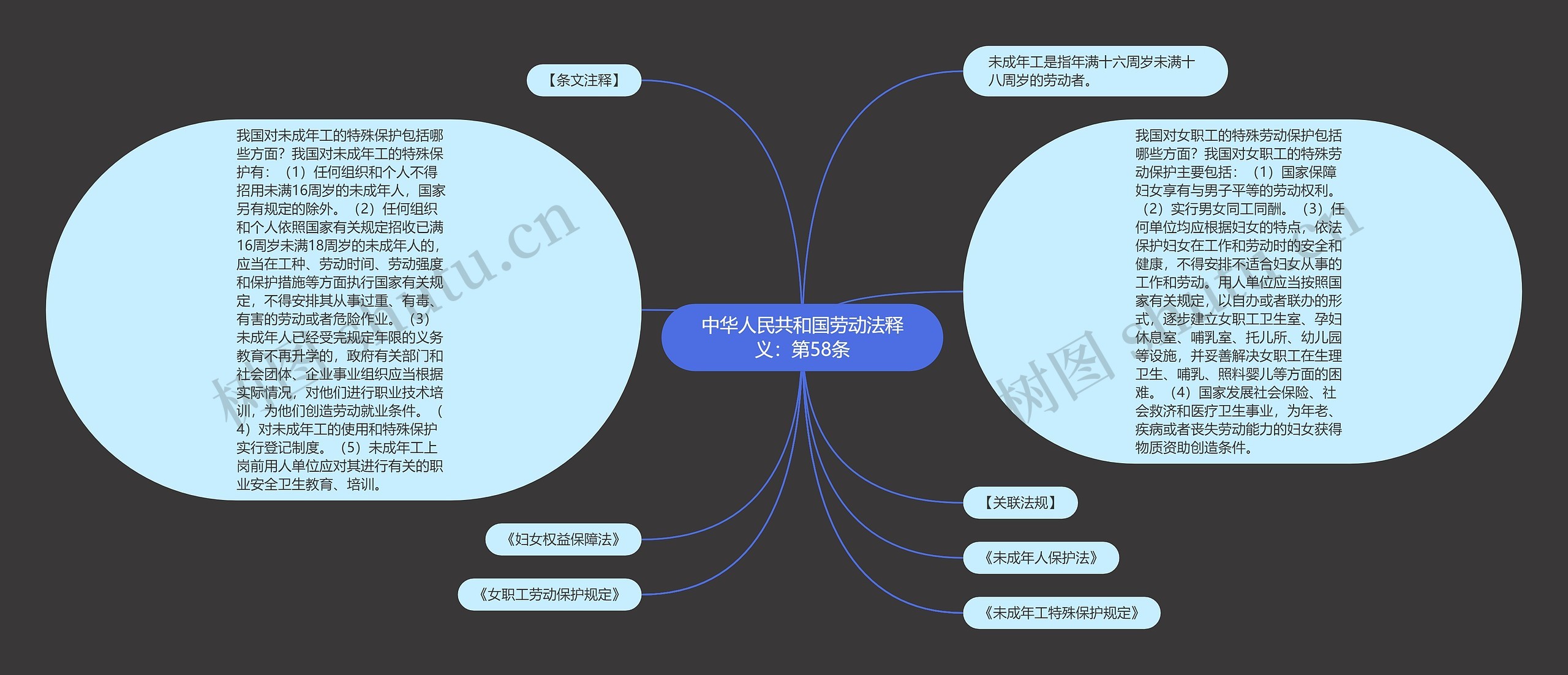 中华人民共和国劳动法释义：第58条