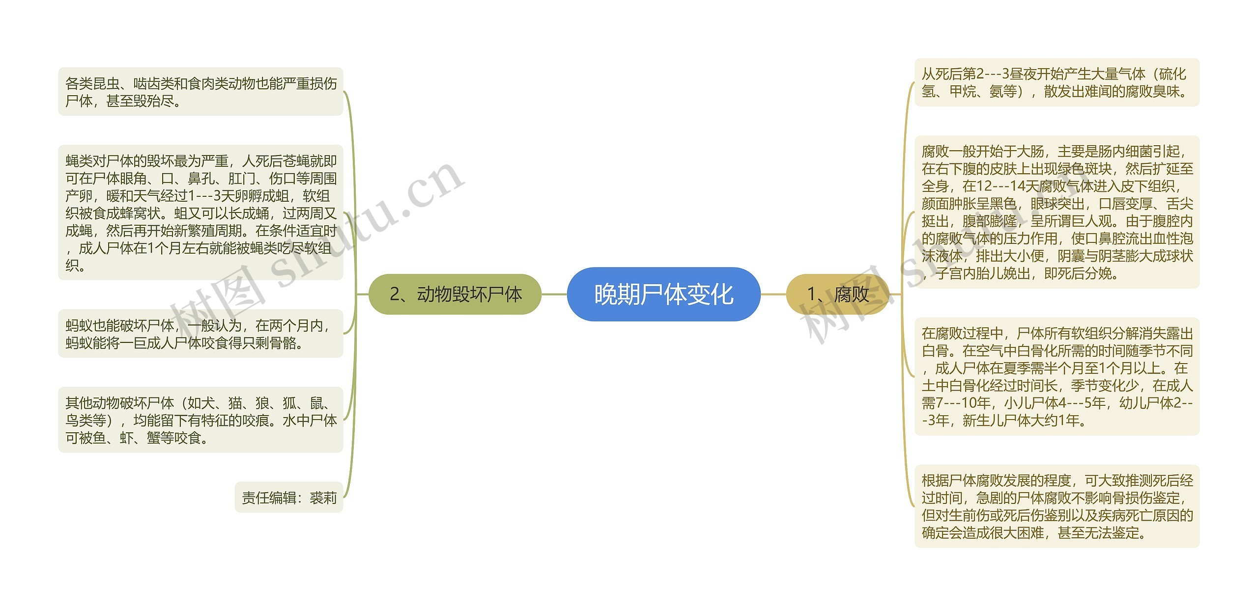 晚期尸体变化