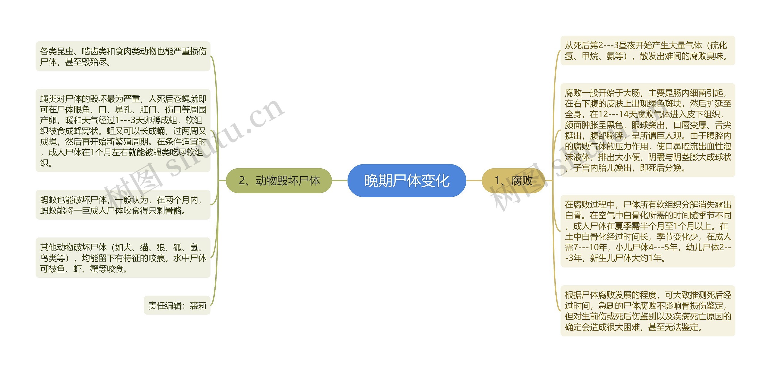 晚期尸体变化思维导图