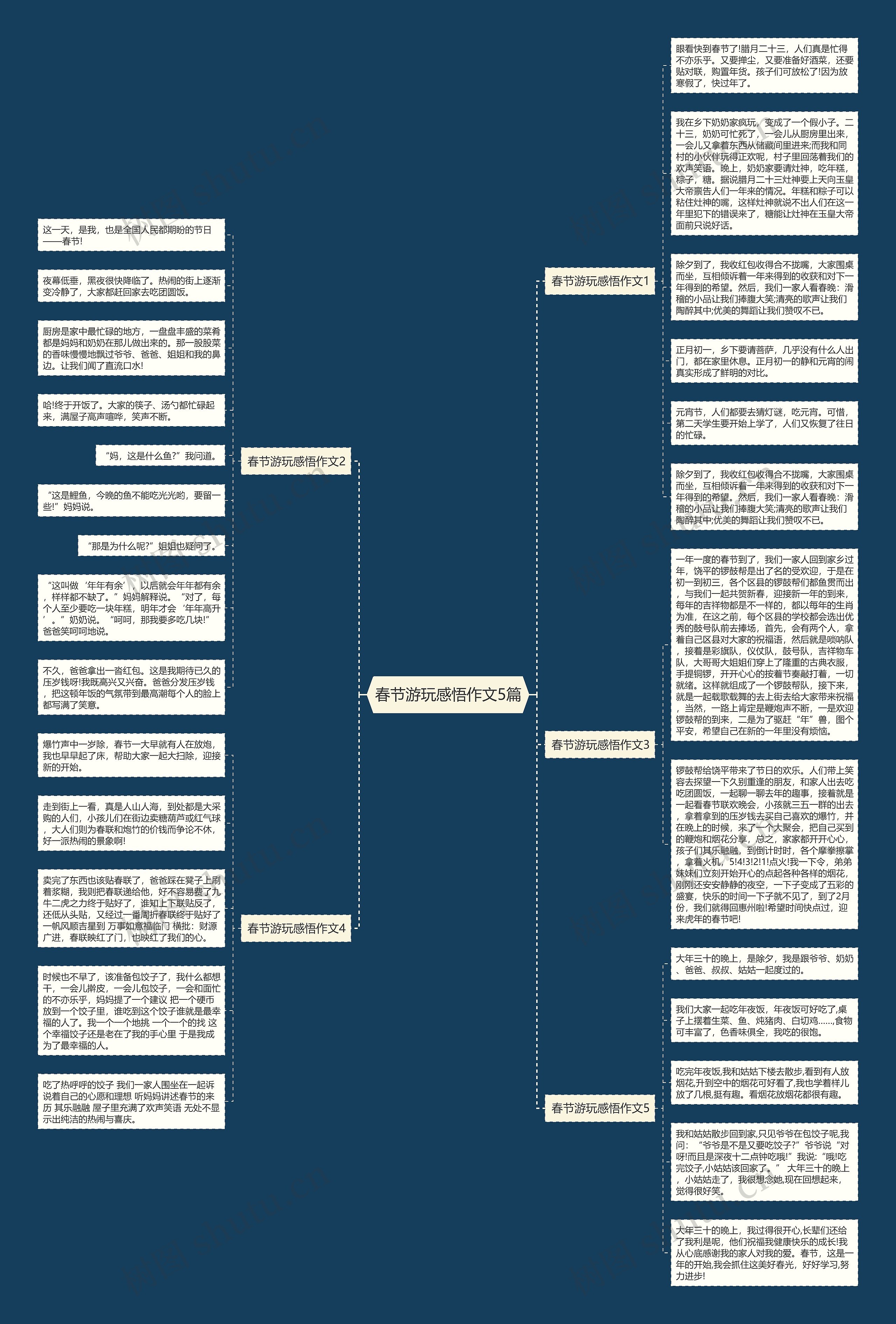春节游玩感悟作文5篇思维导图