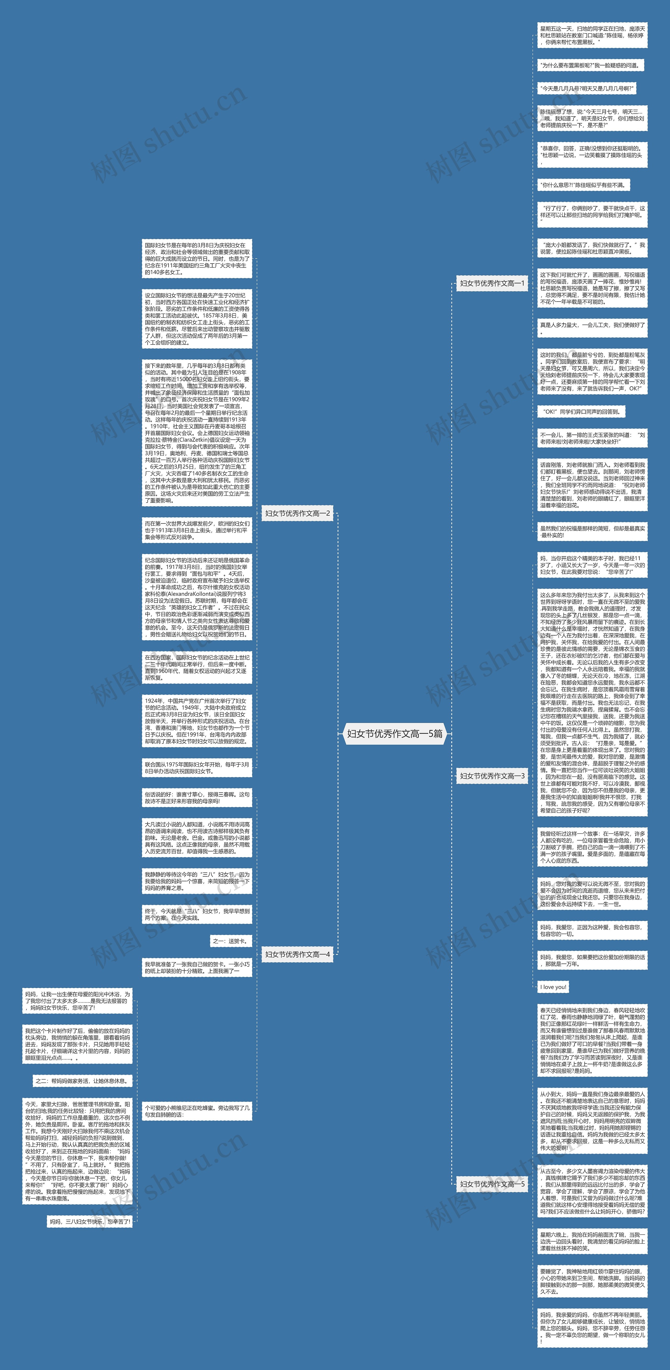 妇女节优秀作文高一5篇思维导图