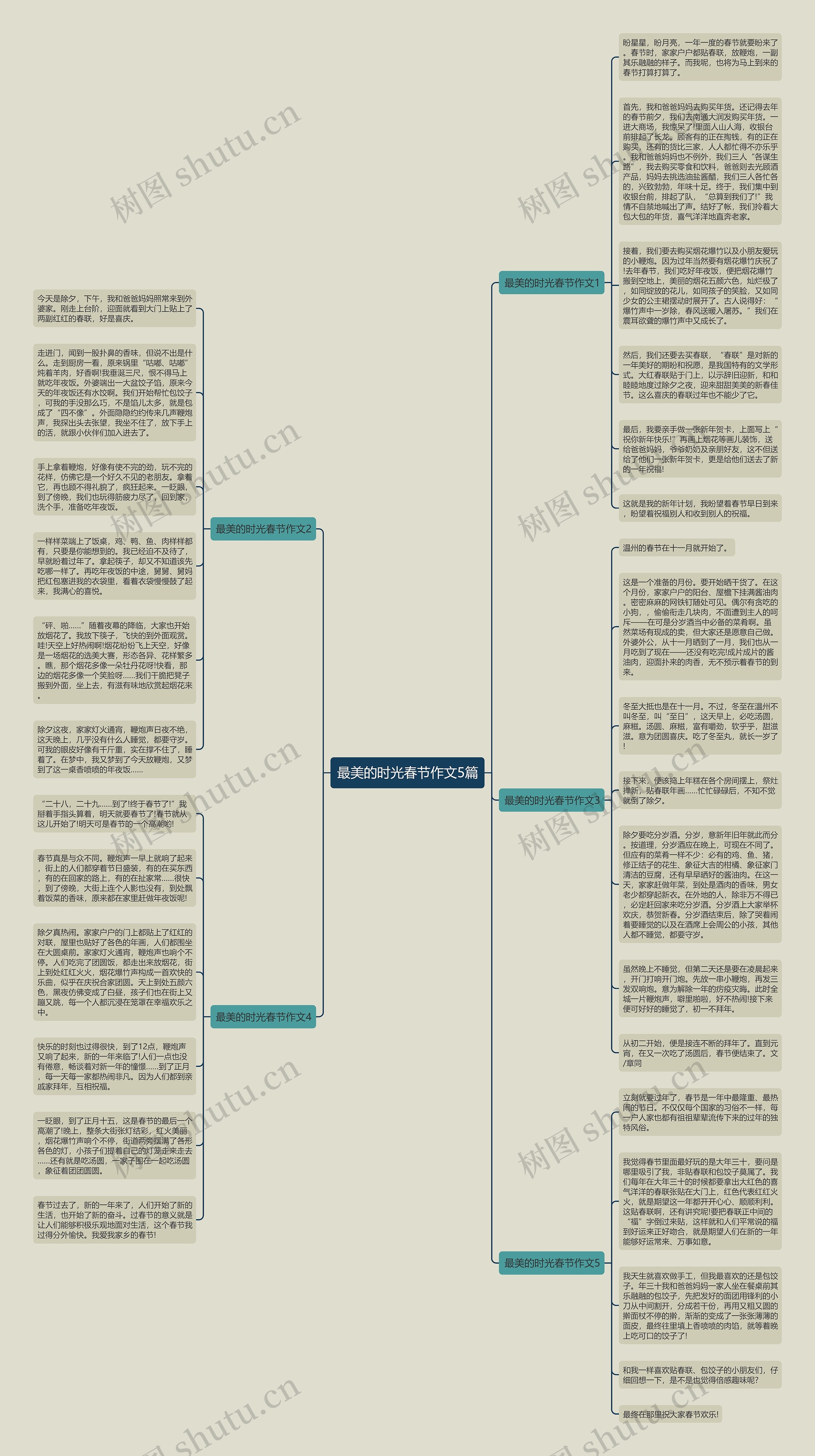 最美的时光春节作文5篇思维导图