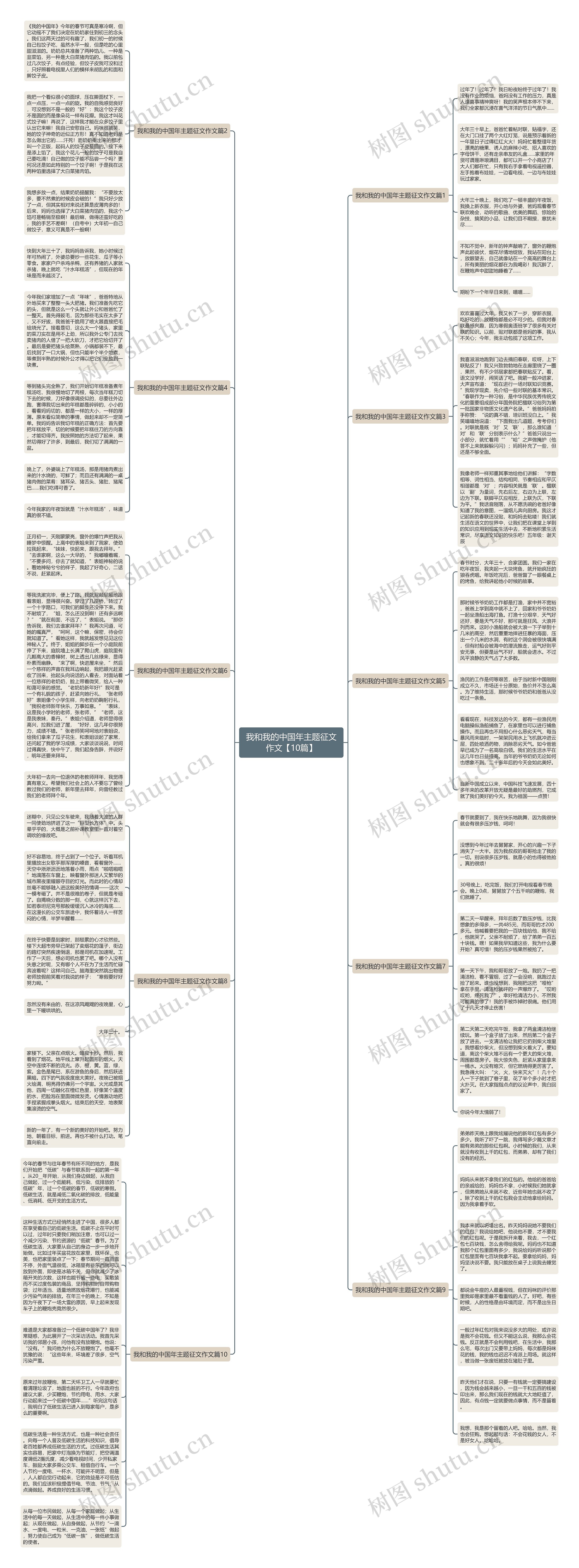 我和我的中国年主题征文作文【10篇】