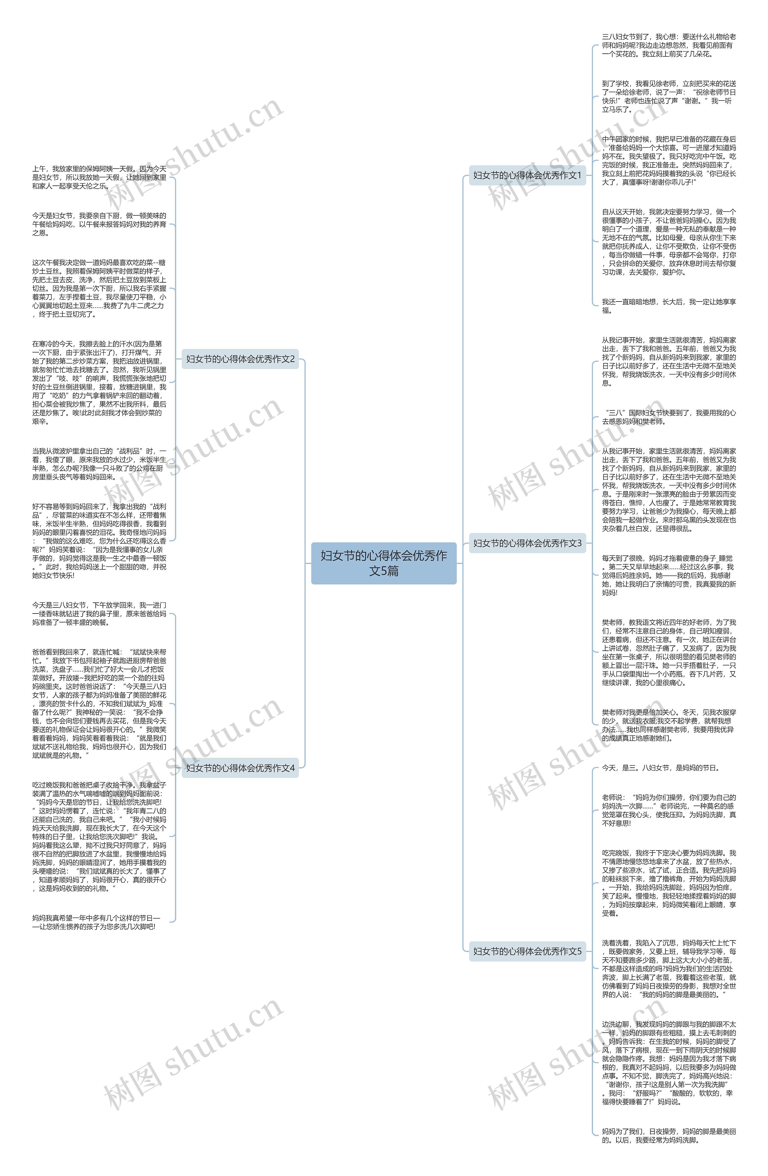 妇女节的心得体会优秀作文5篇思维导图