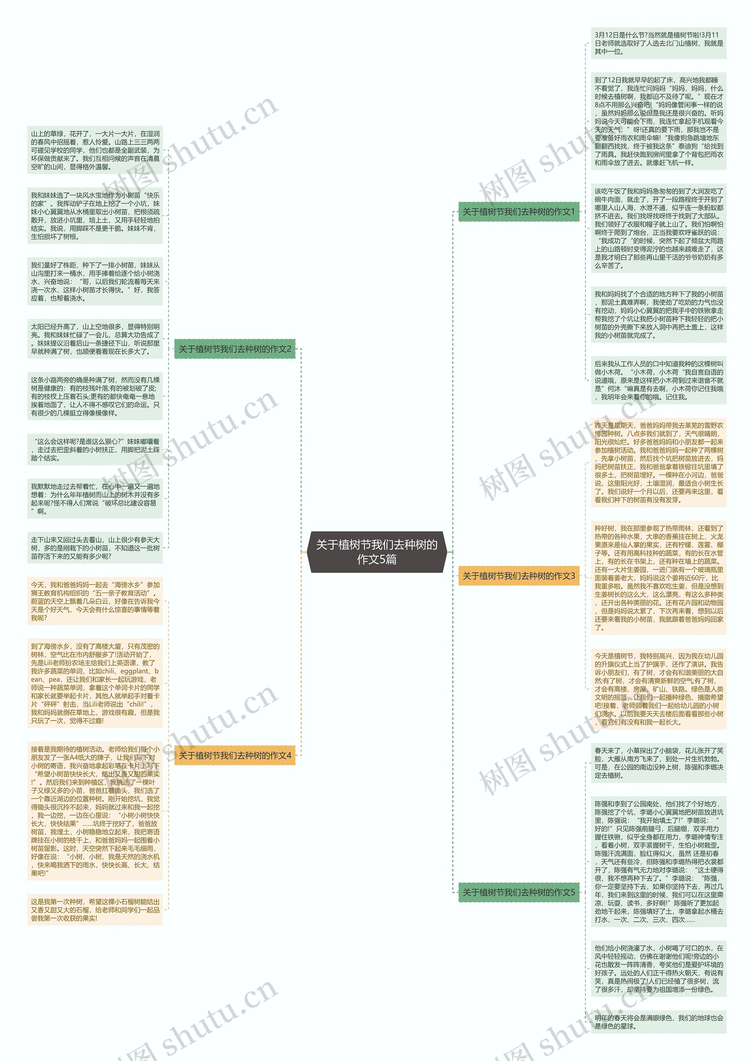 关于植树节我们去种树的作文5篇思维导图