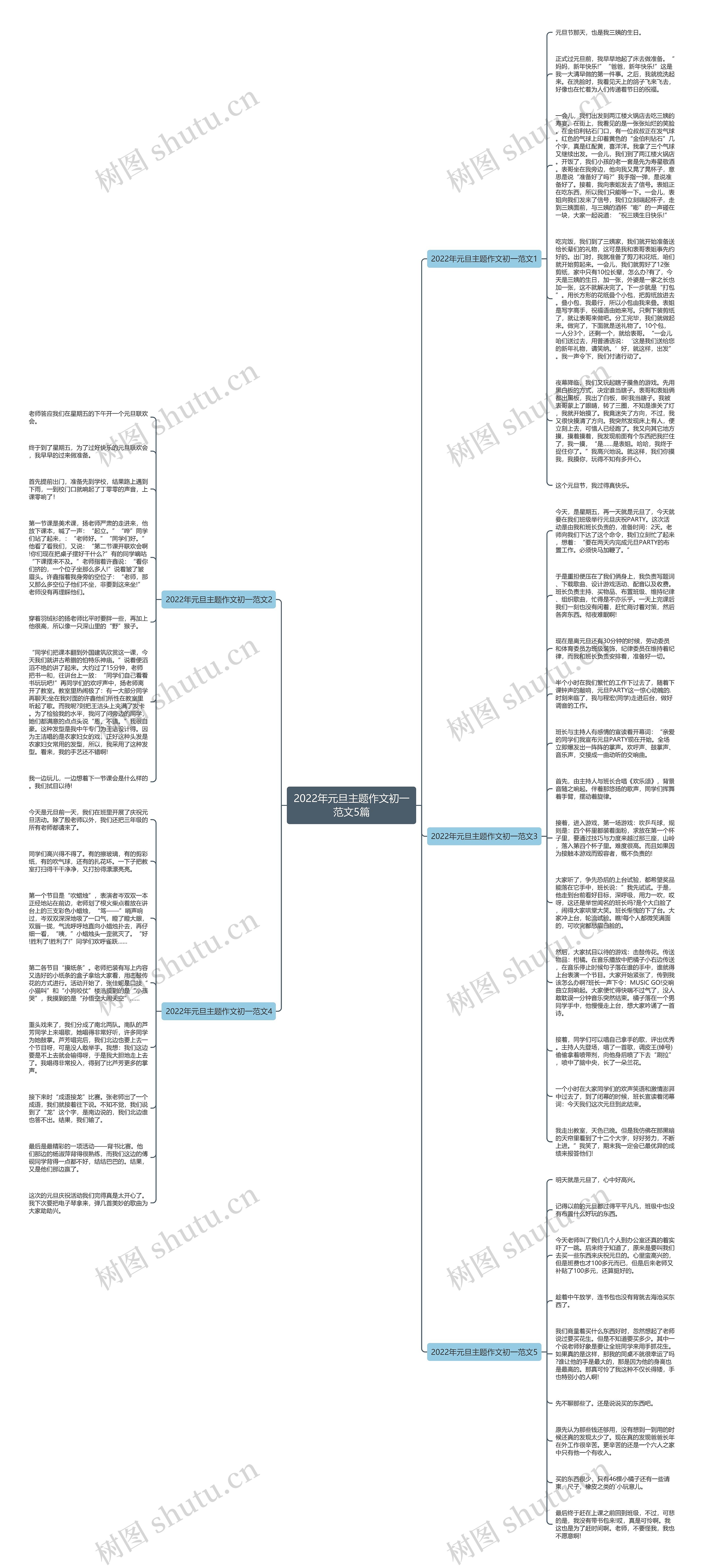 2022年元旦主题作文初一范文5篇思维导图