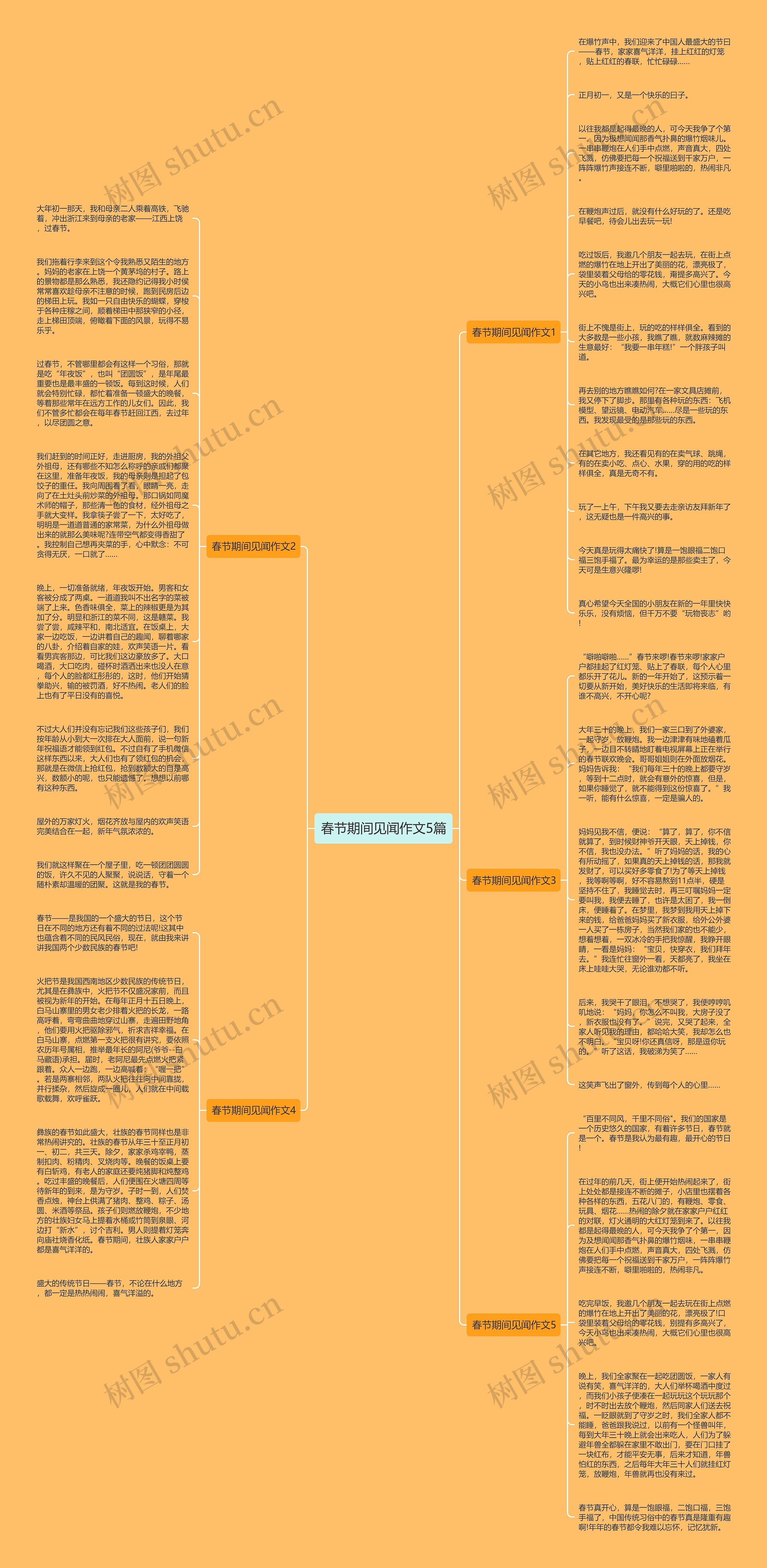 春节期间见闻作文5篇思维导图