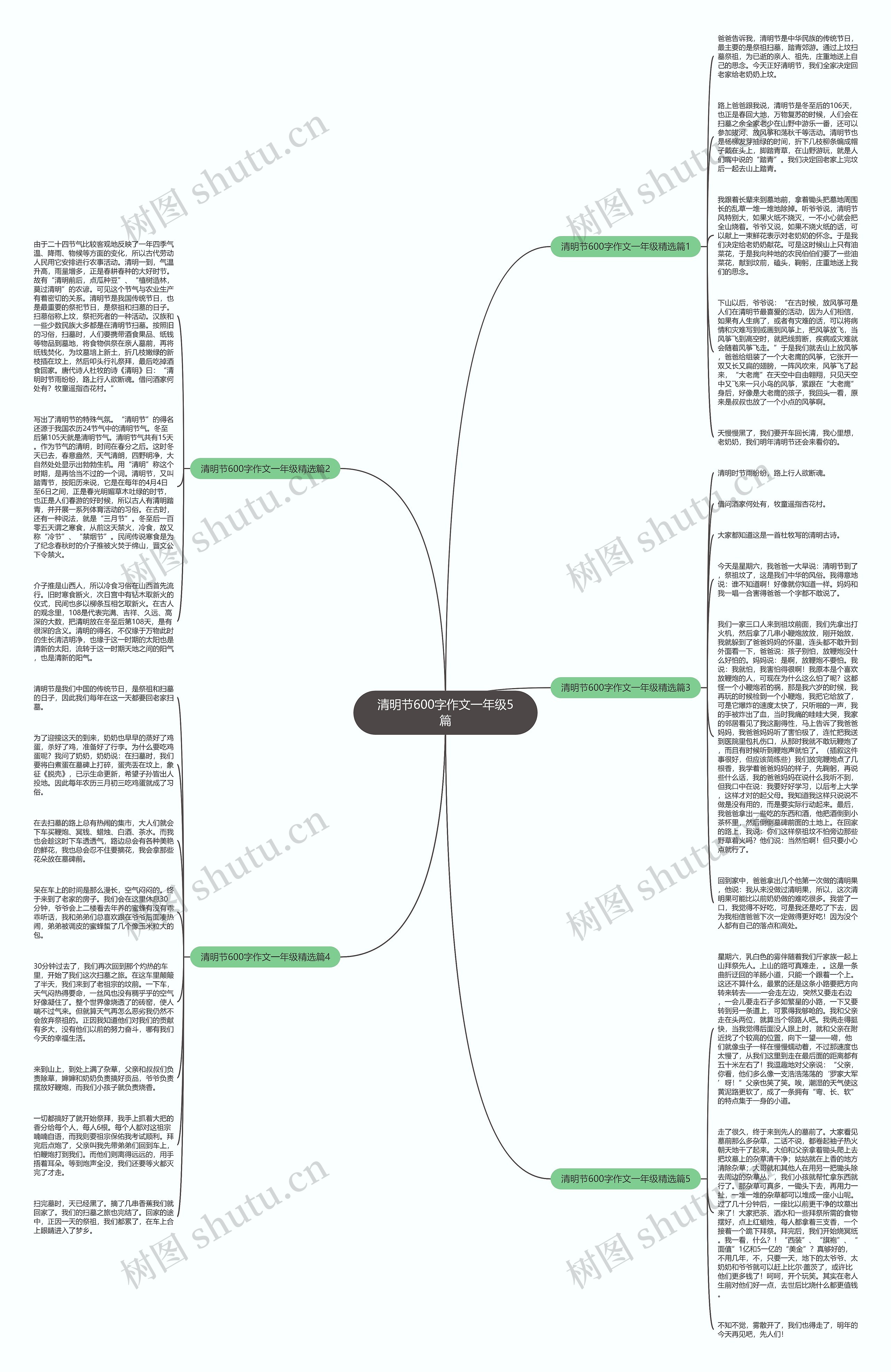 清明节600字作文一年级5篇思维导图