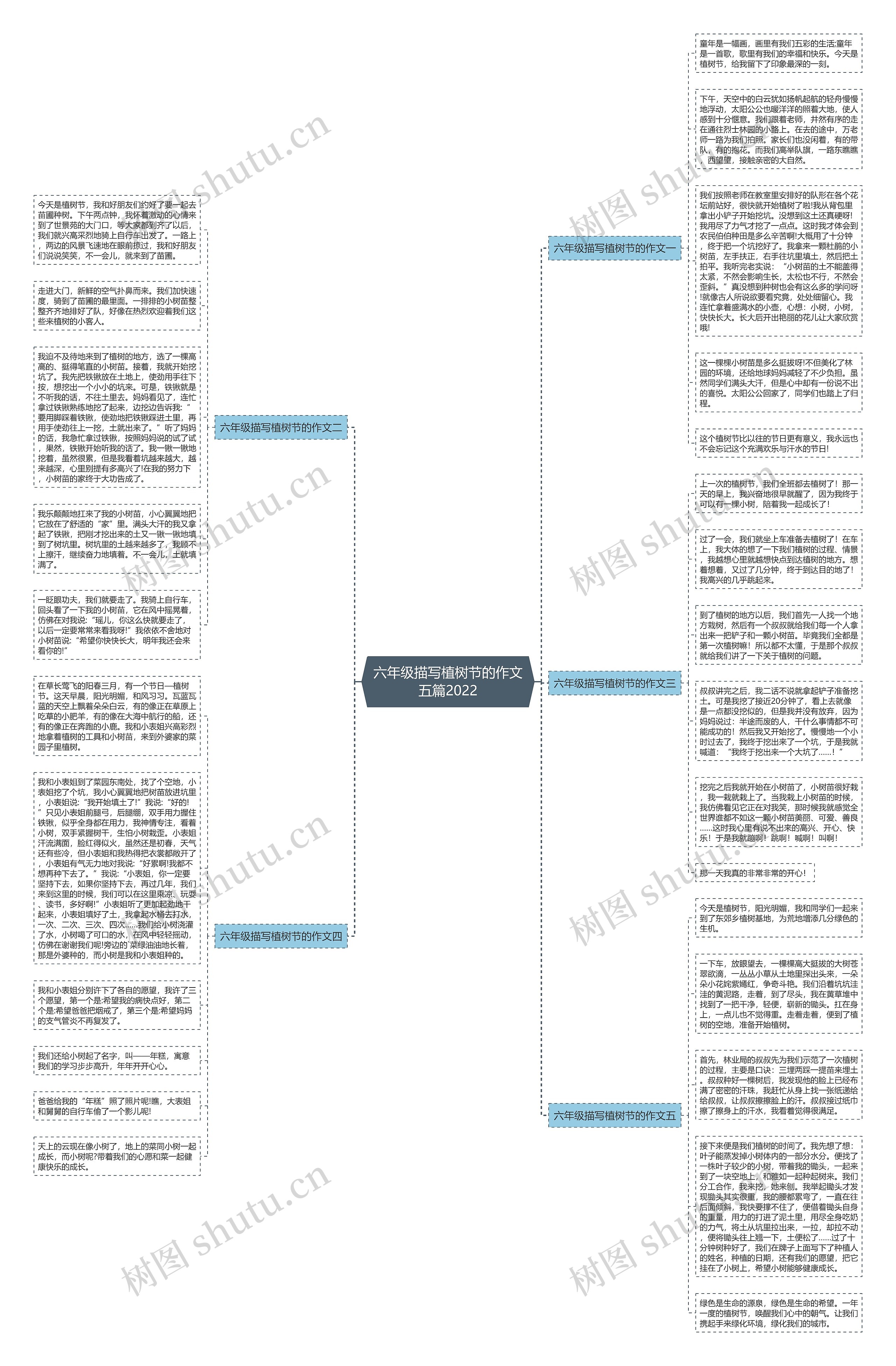 六年级描写植树节的作文五篇2022思维导图