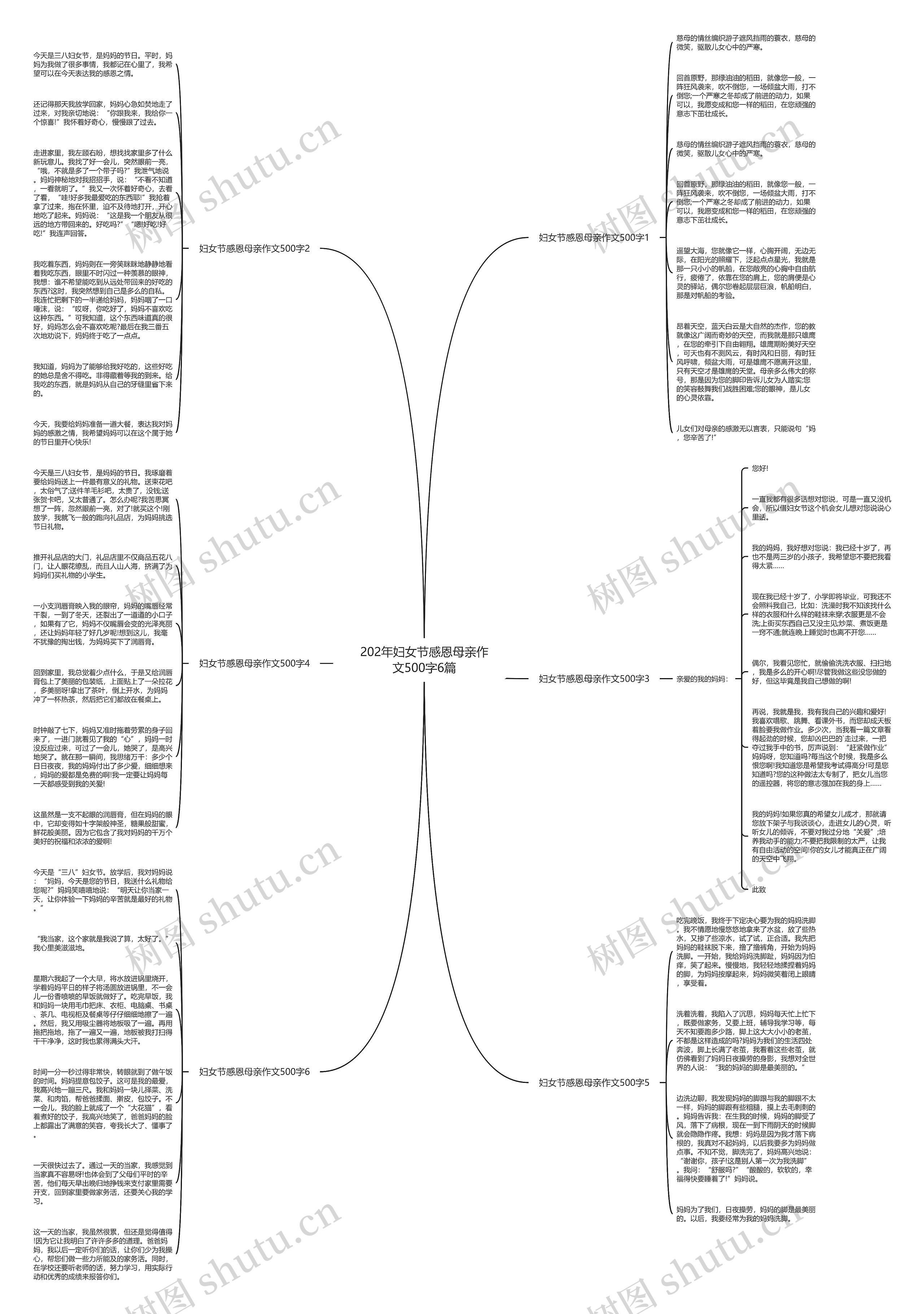 202年妇女节感恩母亲作文500字6篇思维导图