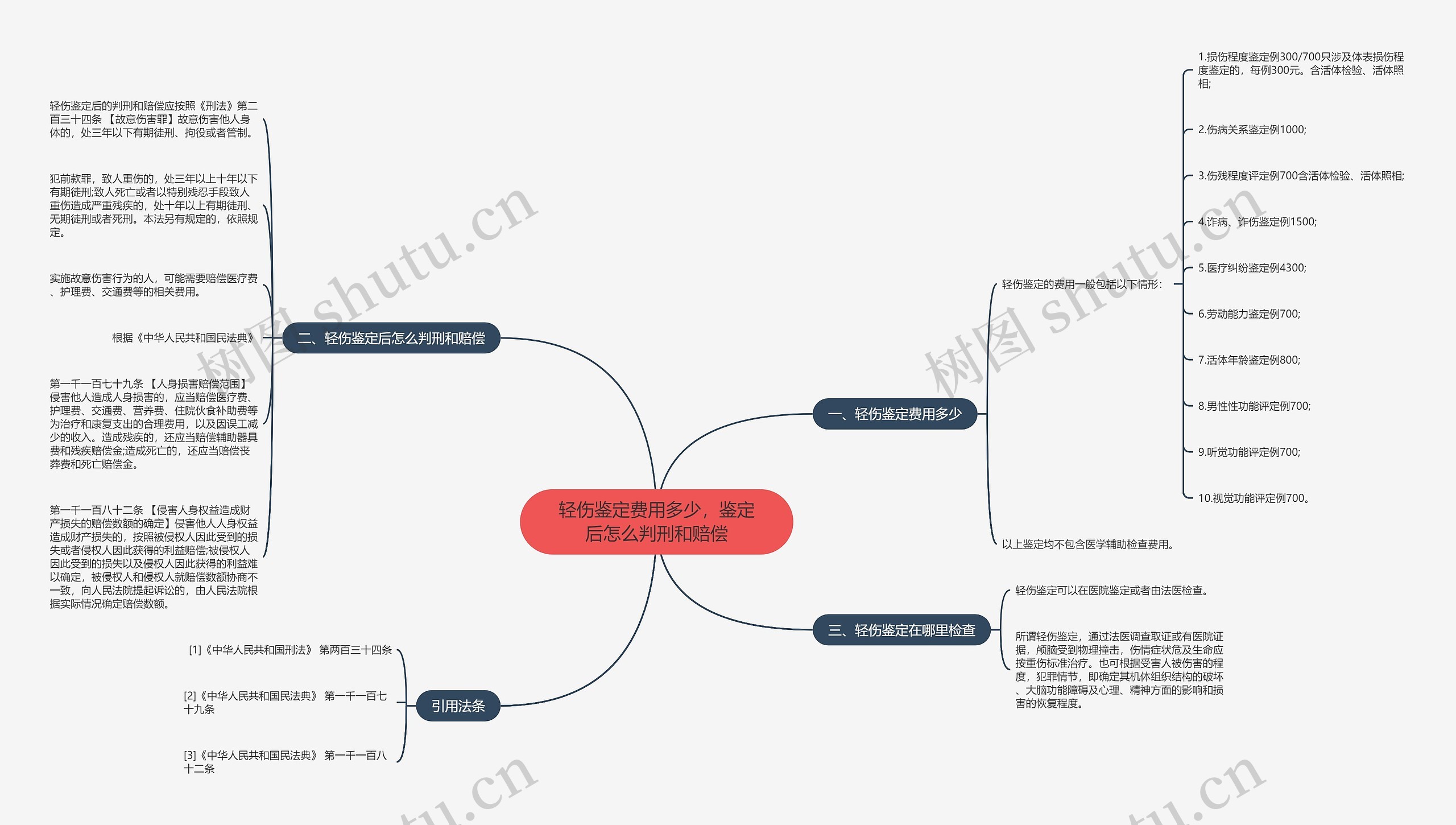 轻伤鉴定费用多少，鉴定后怎么判刑和赔偿思维导图