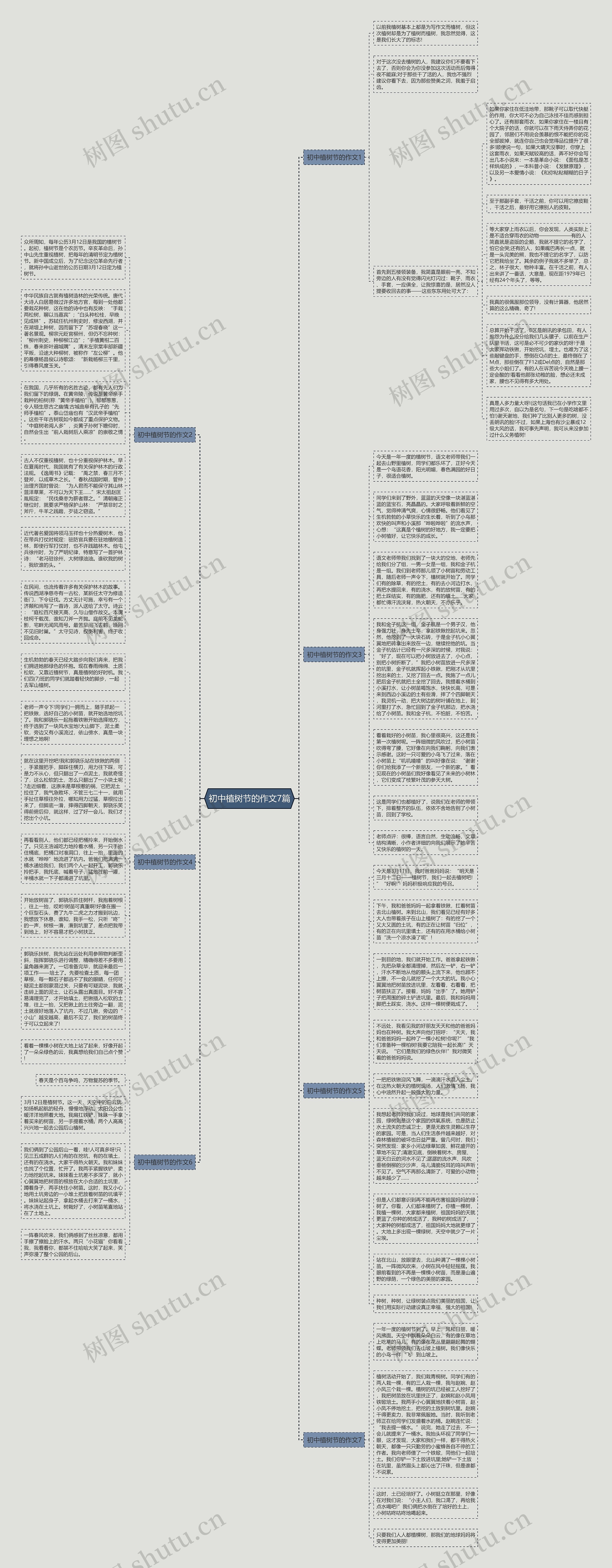 初中植树节的作文7篇思维导图