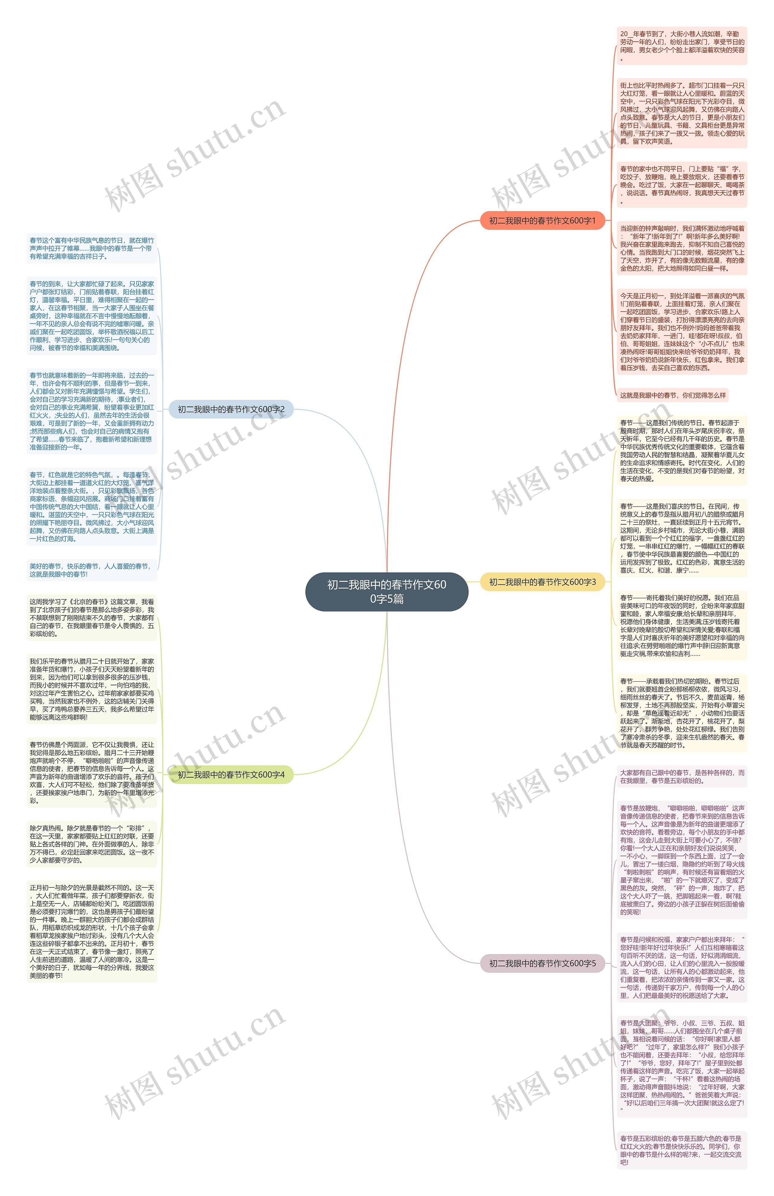 初二我眼中的春节作文600字5篇思维导图
